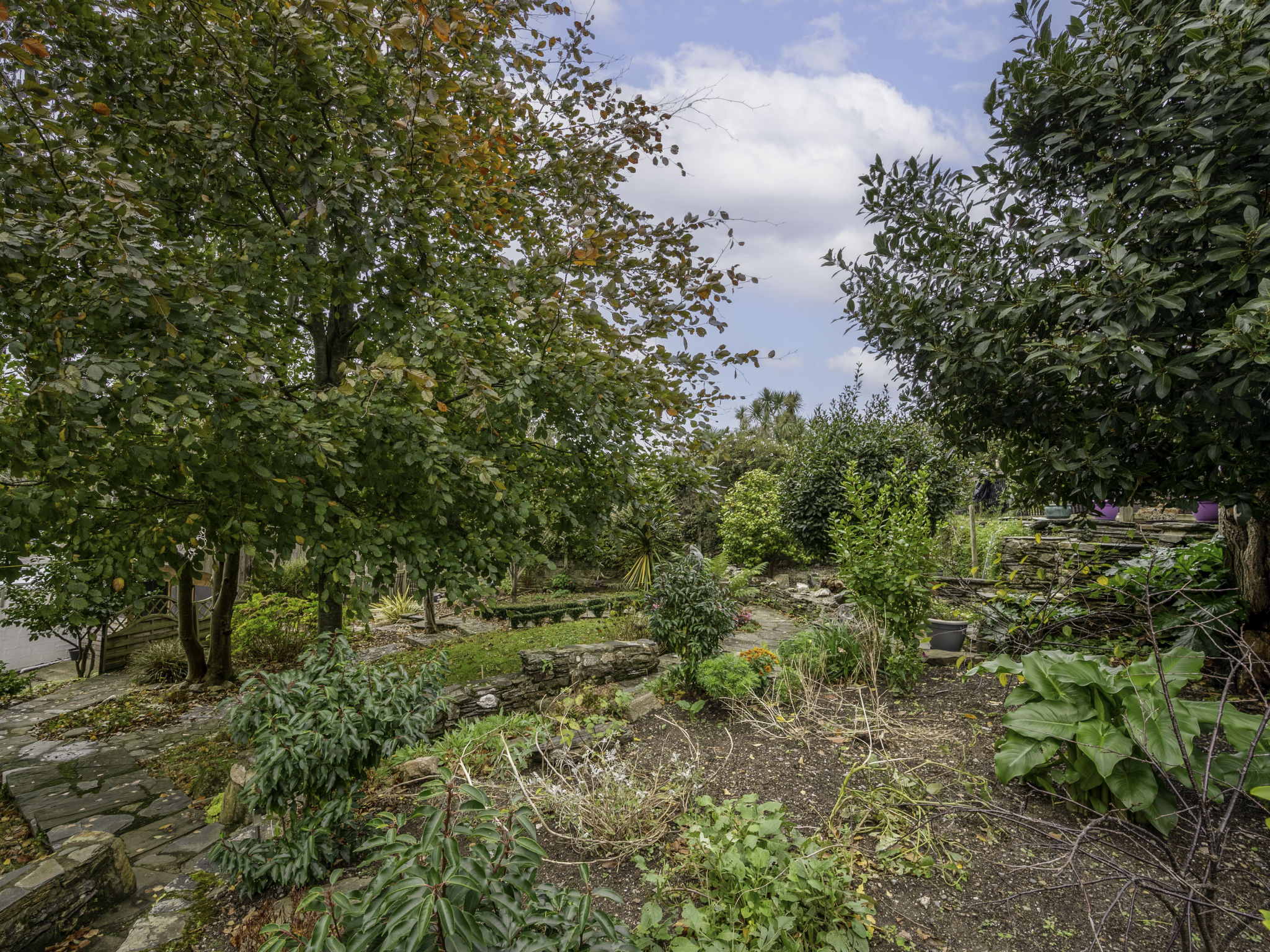 Cherry Orchard Cottage - Draußen