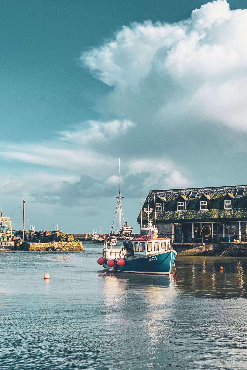 Mermaid Cottage-Omgeving