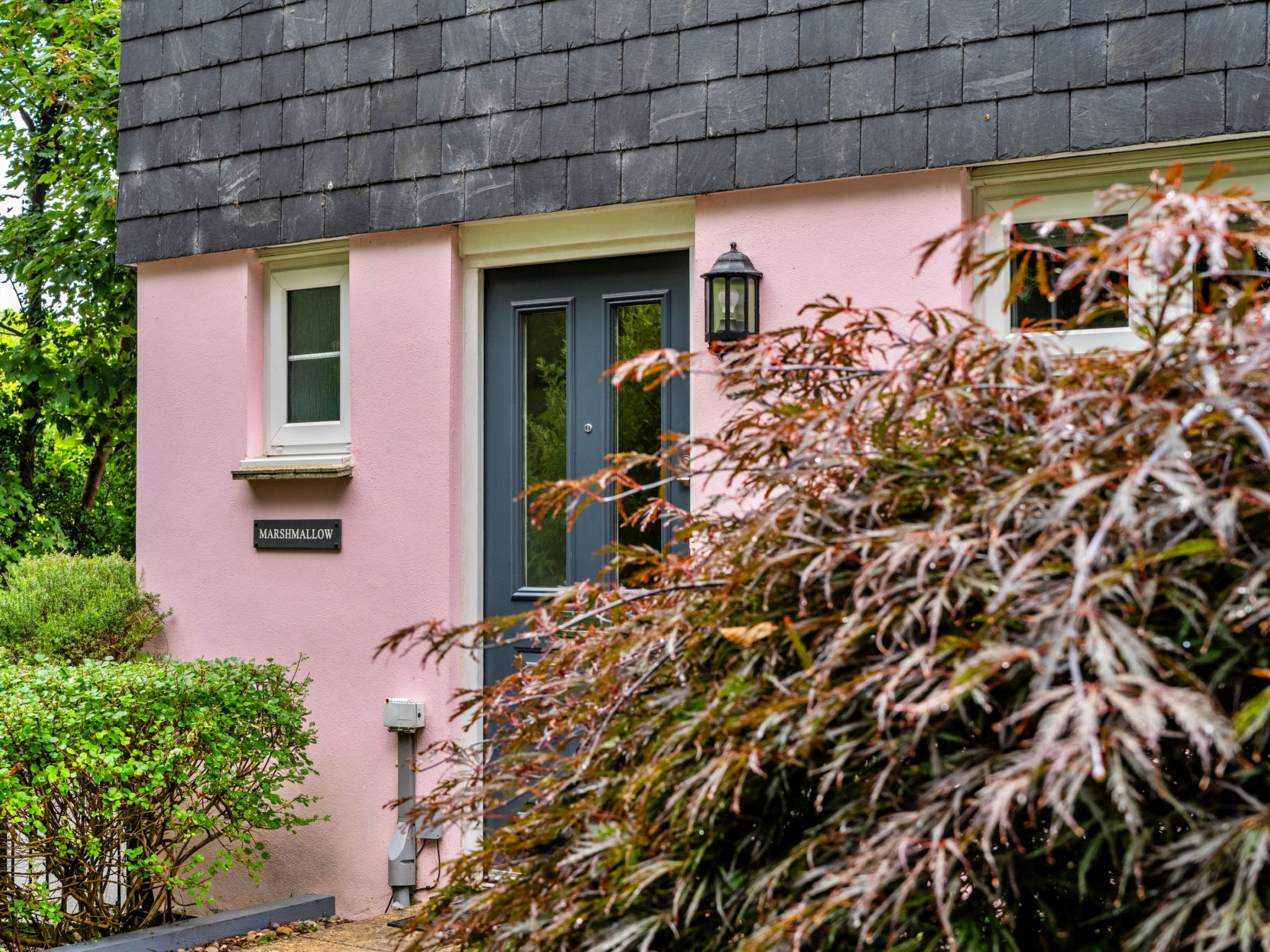 Marshmallow House - Outside