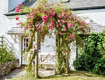 Ferienhaus Thrift Cottage