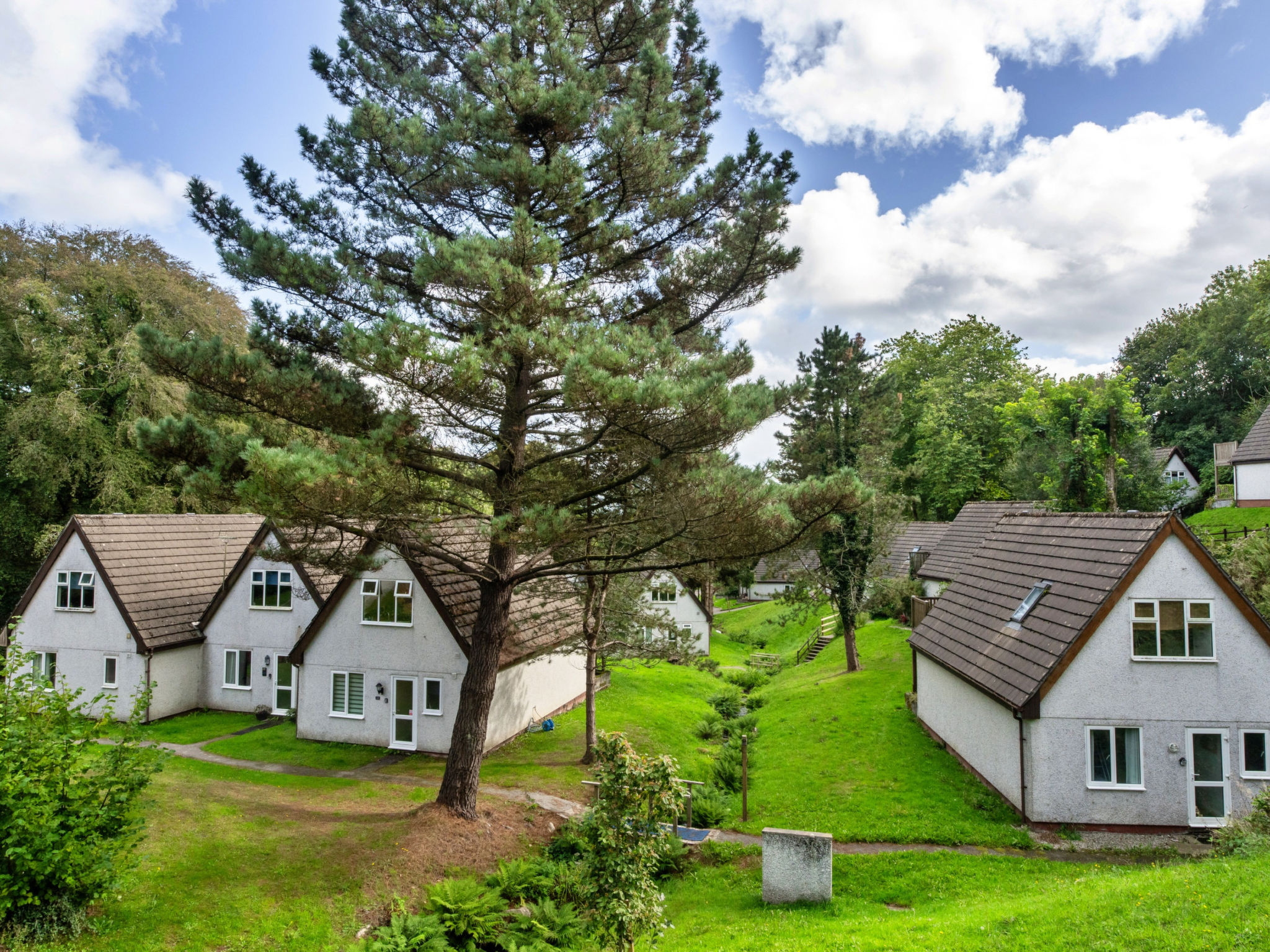 Daisy Valley Lodge