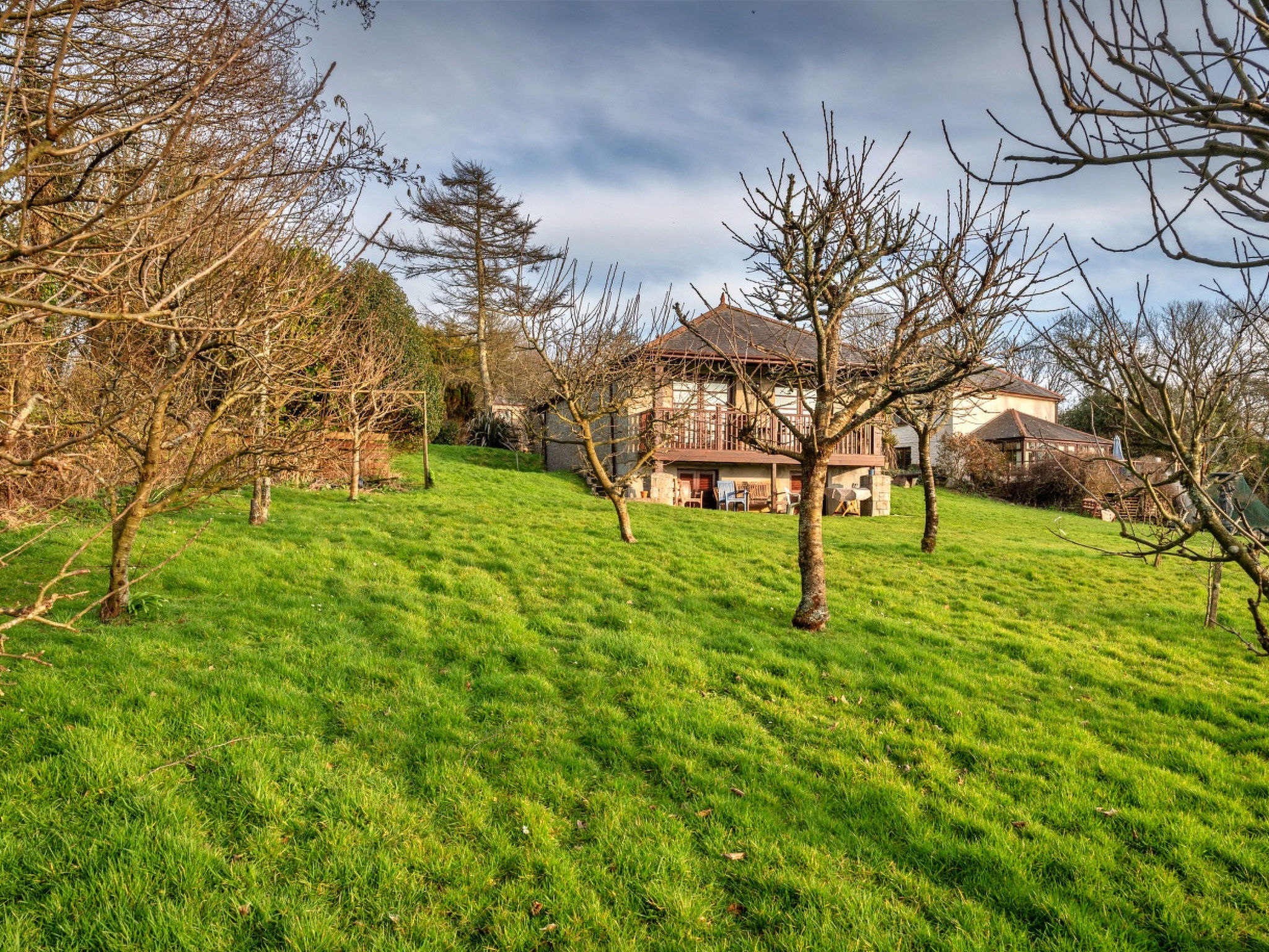 Orchard View