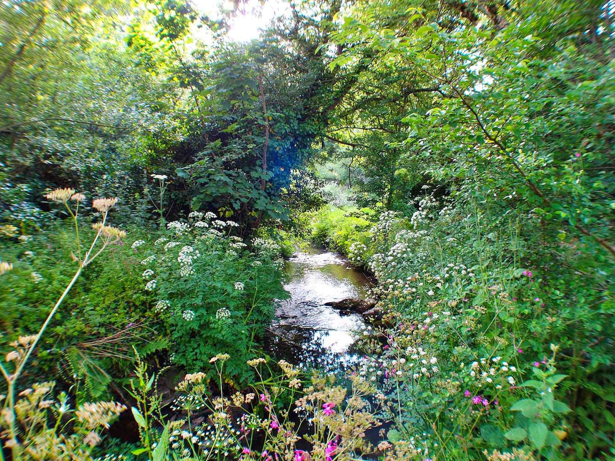Porthcothan Mill Cottage-Outside