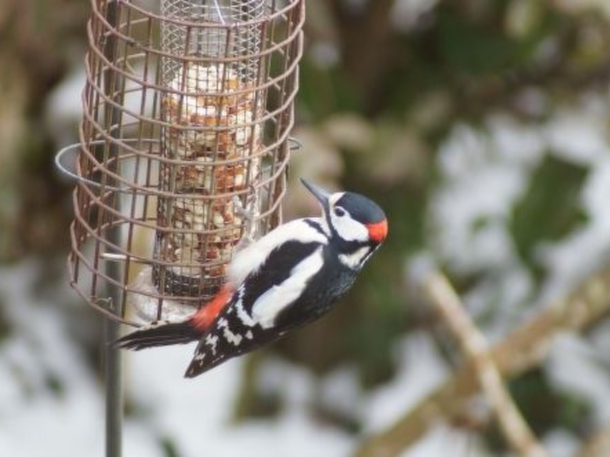 Idyllisches Landhaus Rosemary-Binnen