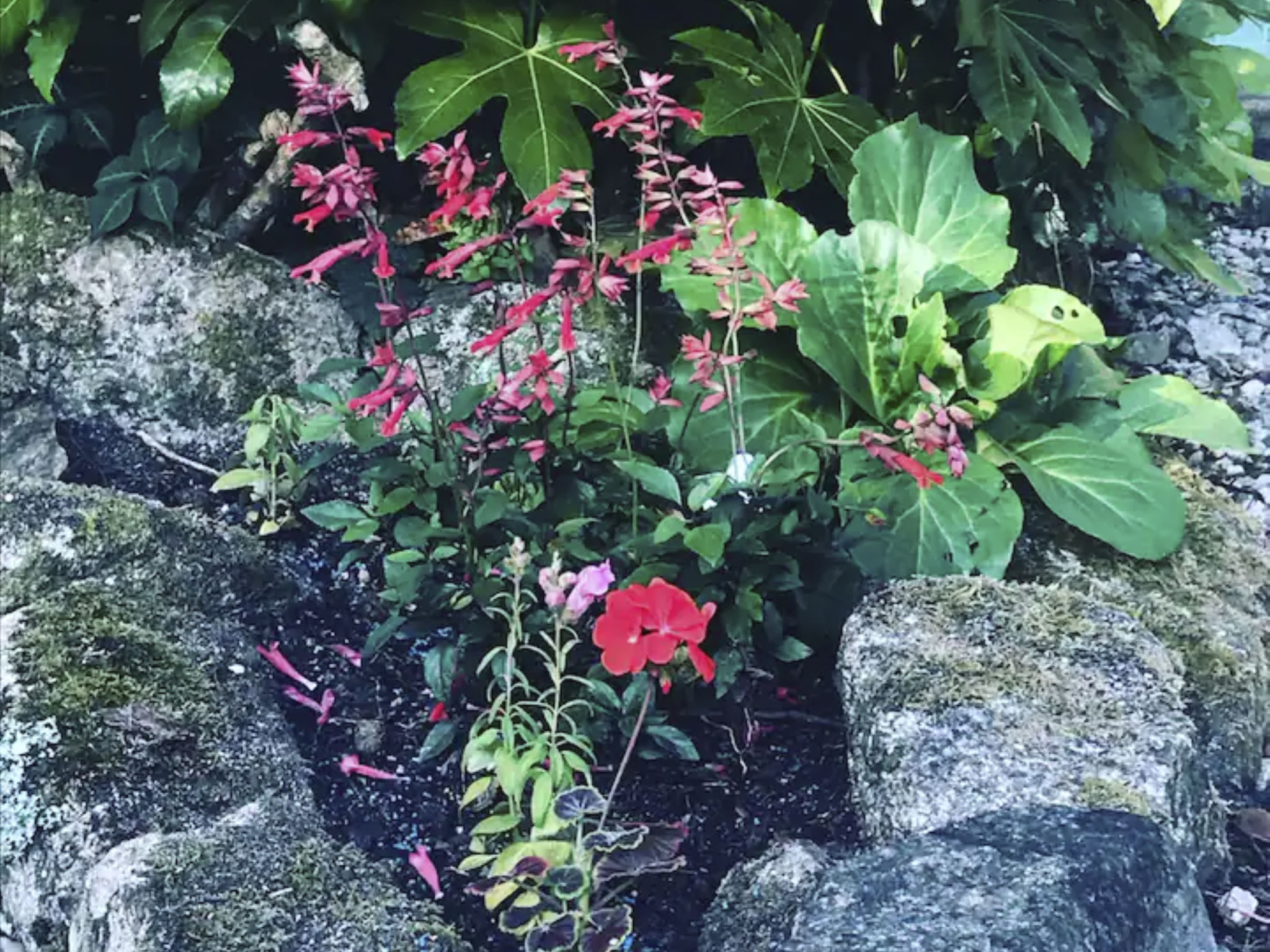 Idyllisches Landhaus mit wunderschönem Garten-Drinnen
