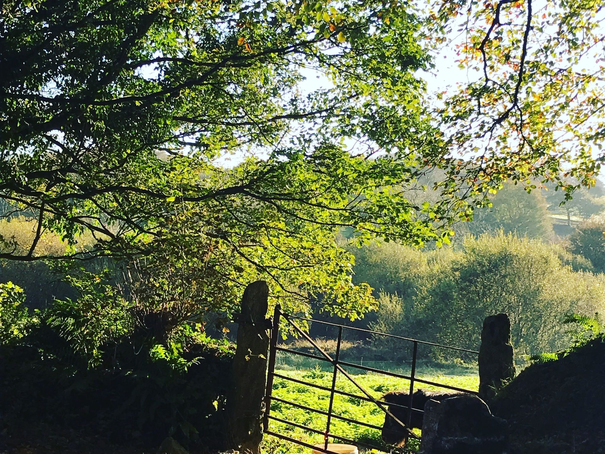 Idyllisches Landhaus mit wunderschönem Garten-Drinnen