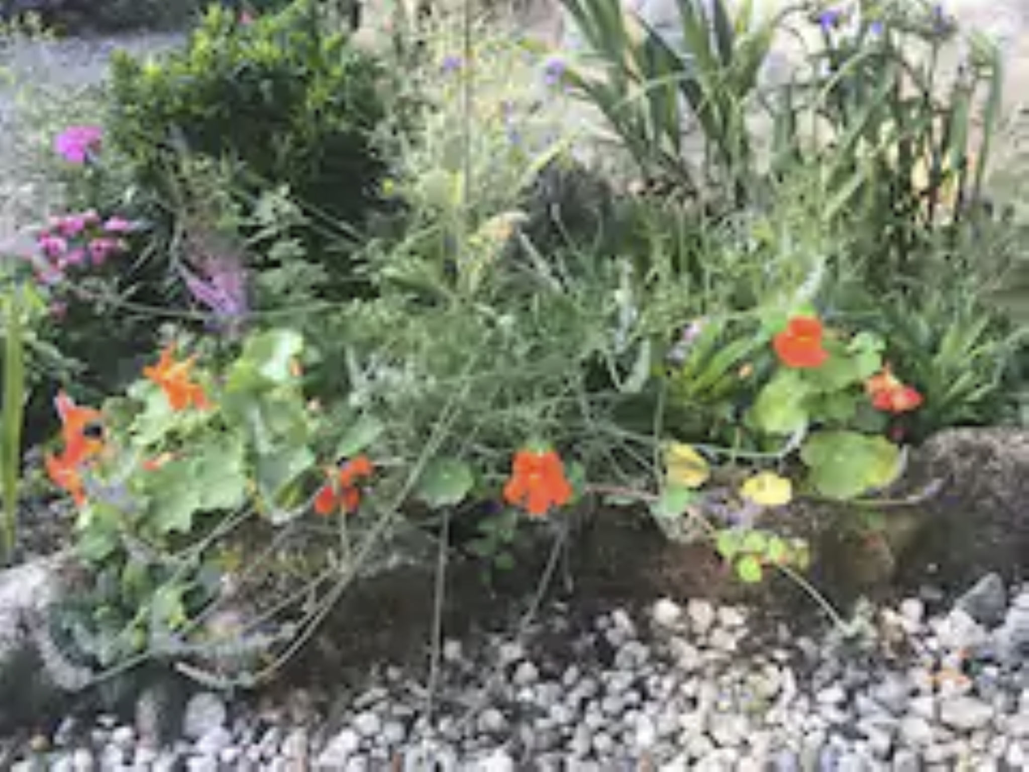 Idyllisches,haustierfreundliches Landhaus Lavender-Binnen