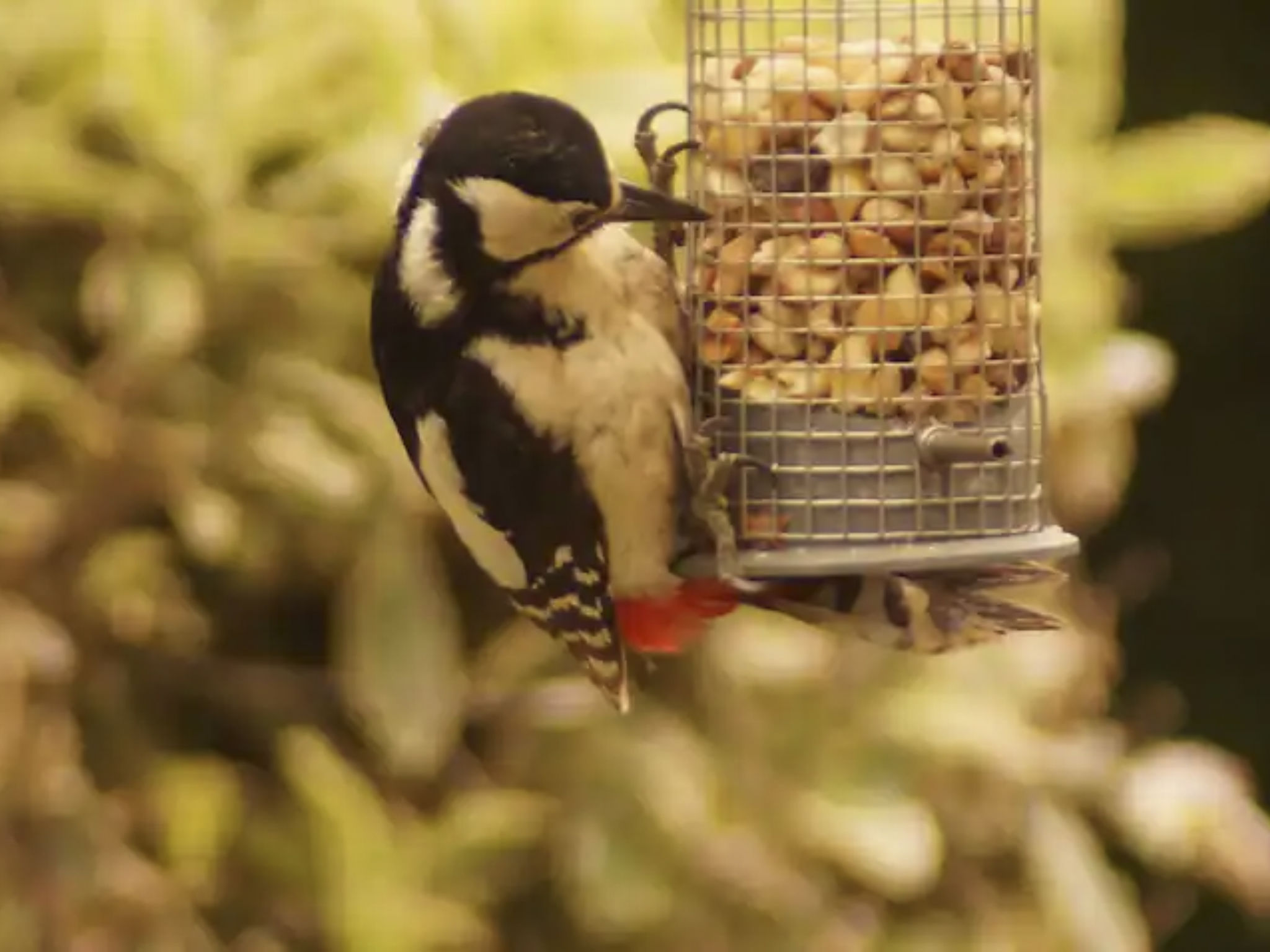 Idyllisches,haustierfreundliches Landhaus Lavender-Binnen
