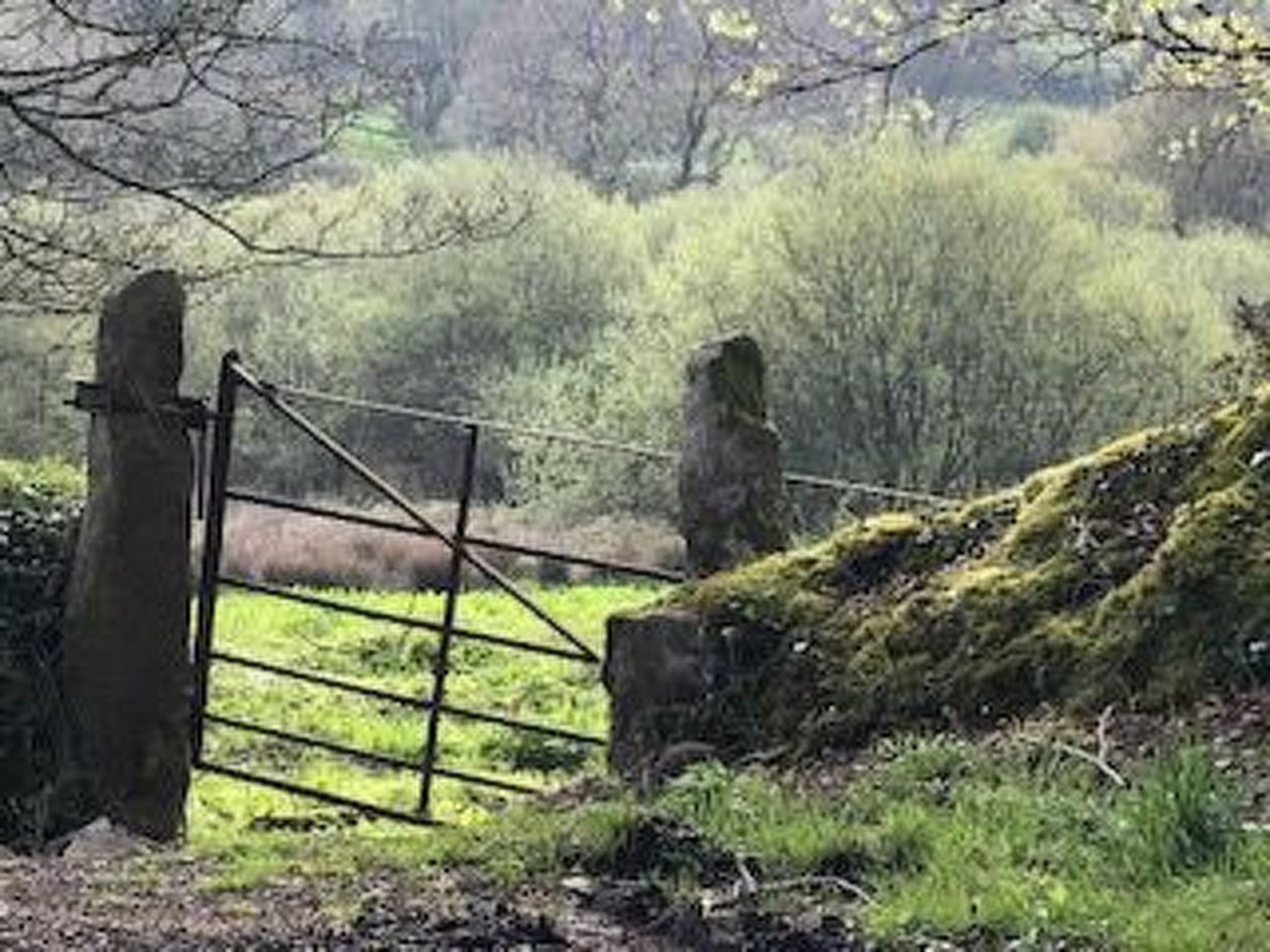 Idyllisches,haustierfreundliches Landhaus Lavender-Binnen