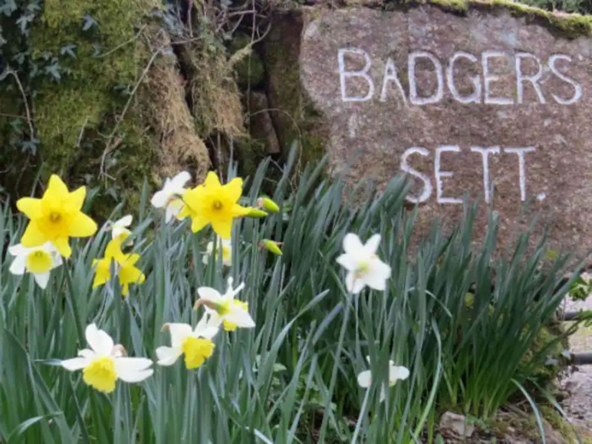 Idyllisches,haustierfreundliches Landhaus Lavender-Binnen
