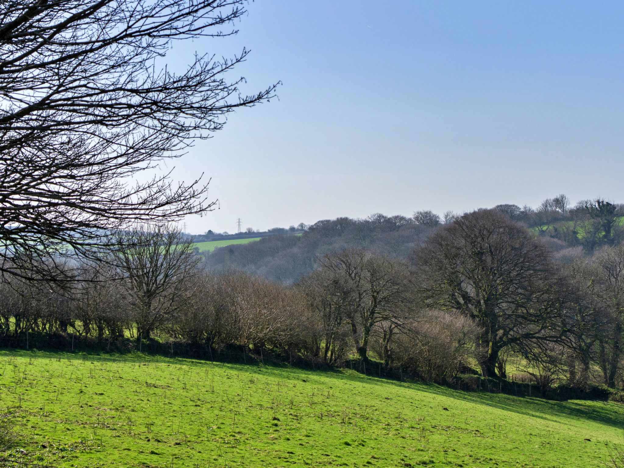 Thyme Bank