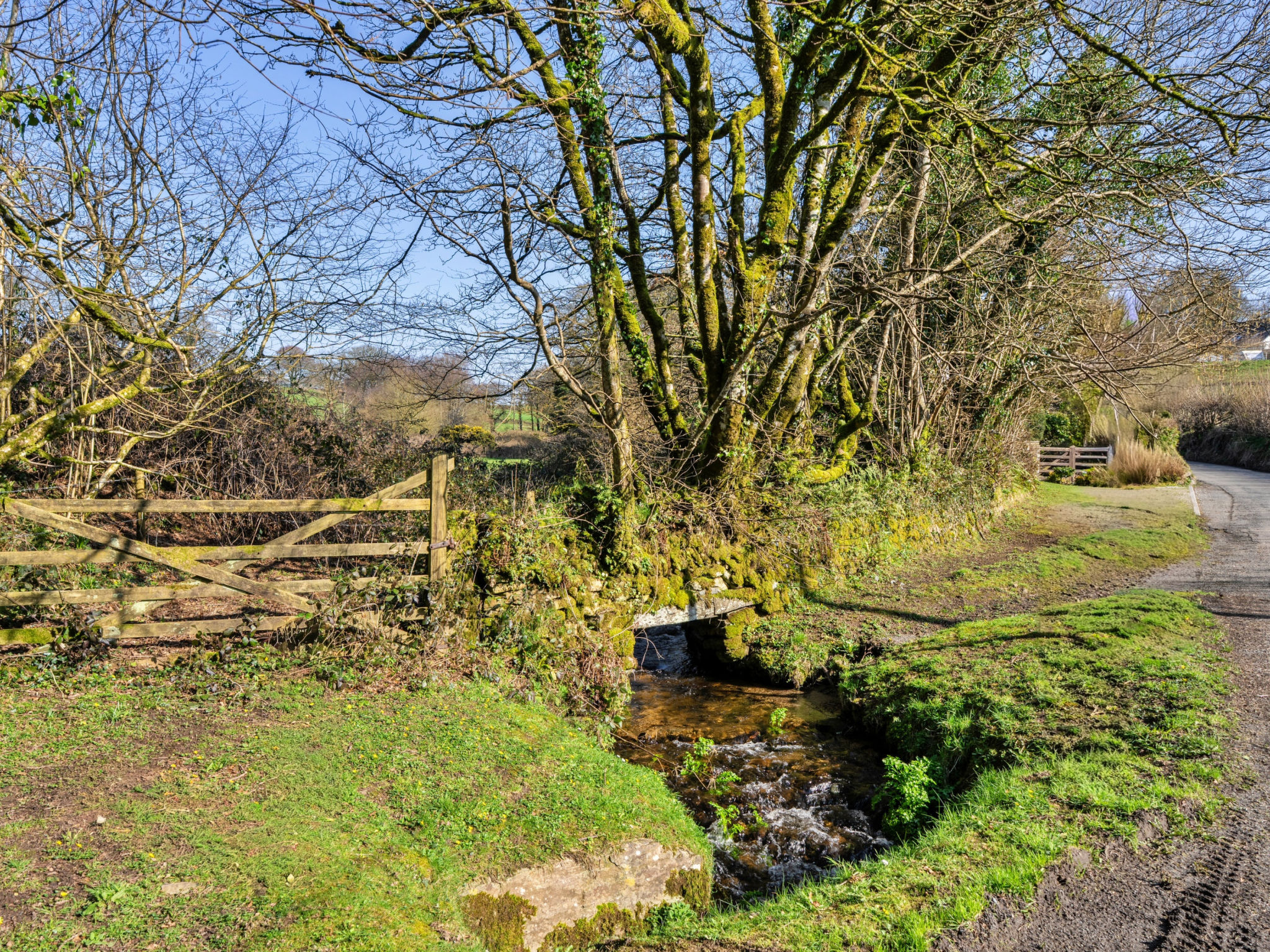 Thyme Bank