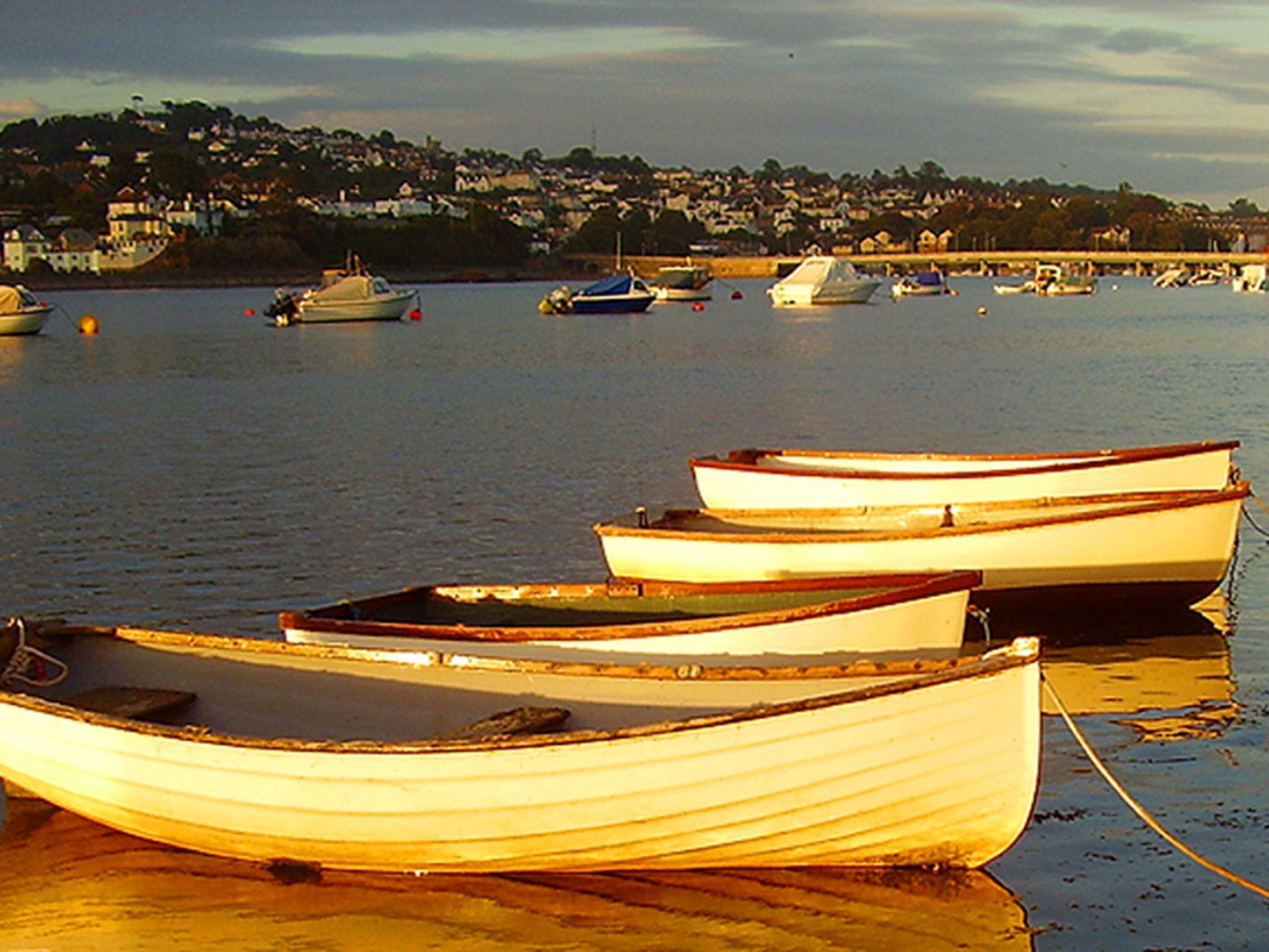 The Nest-Image-tags.info