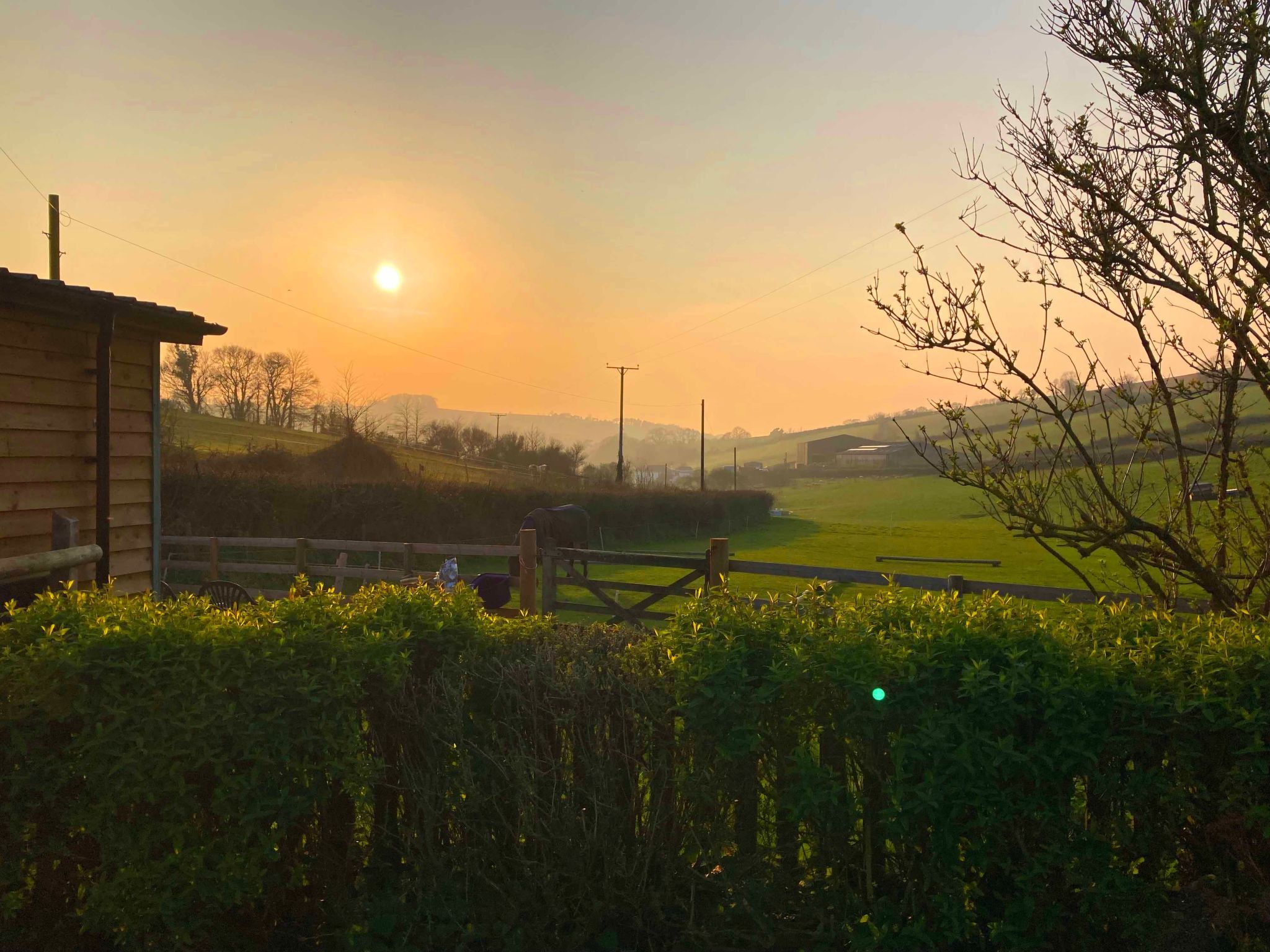 The Nest-Image-tags.info