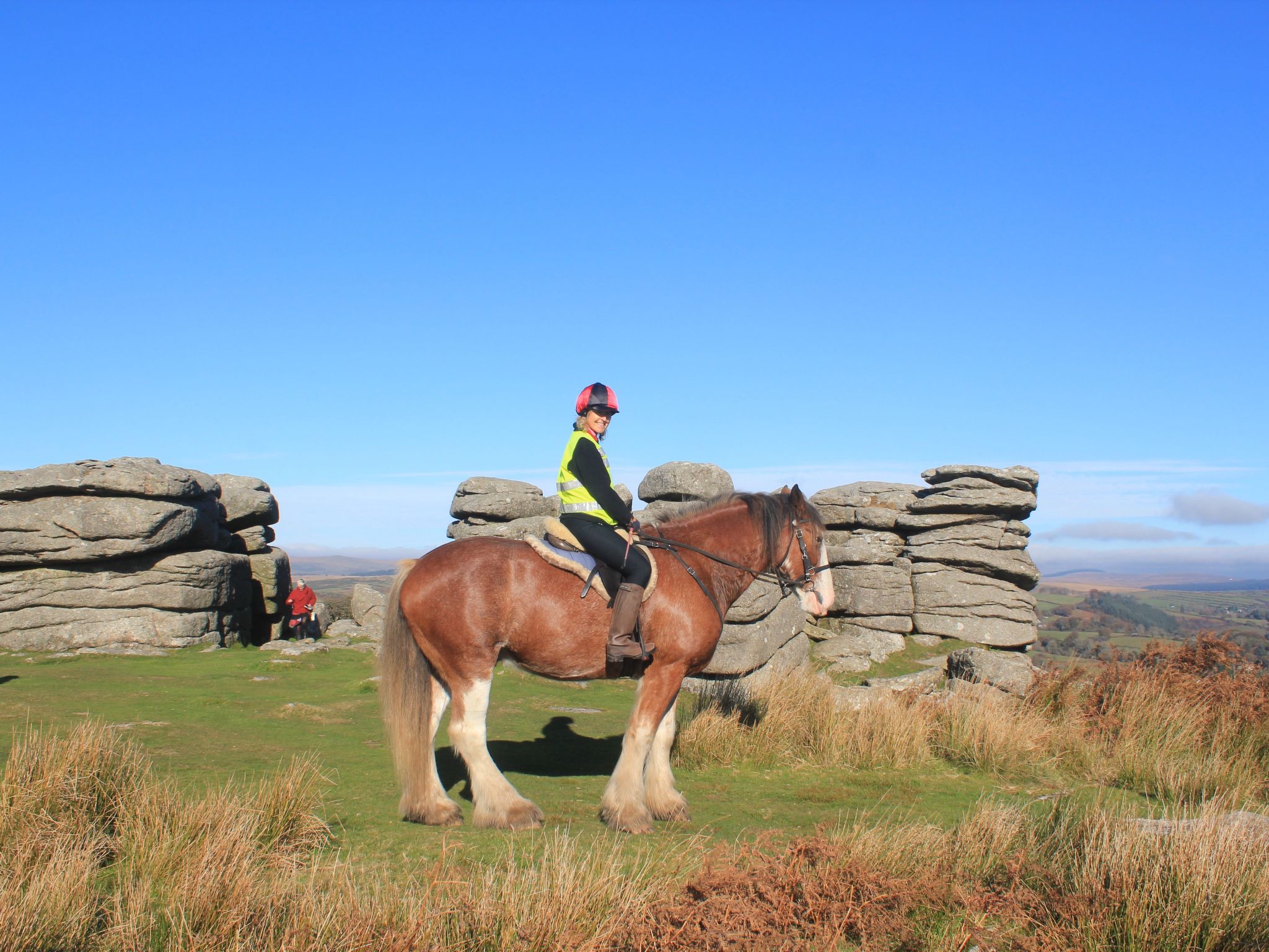 The Nest-Image-tags.info