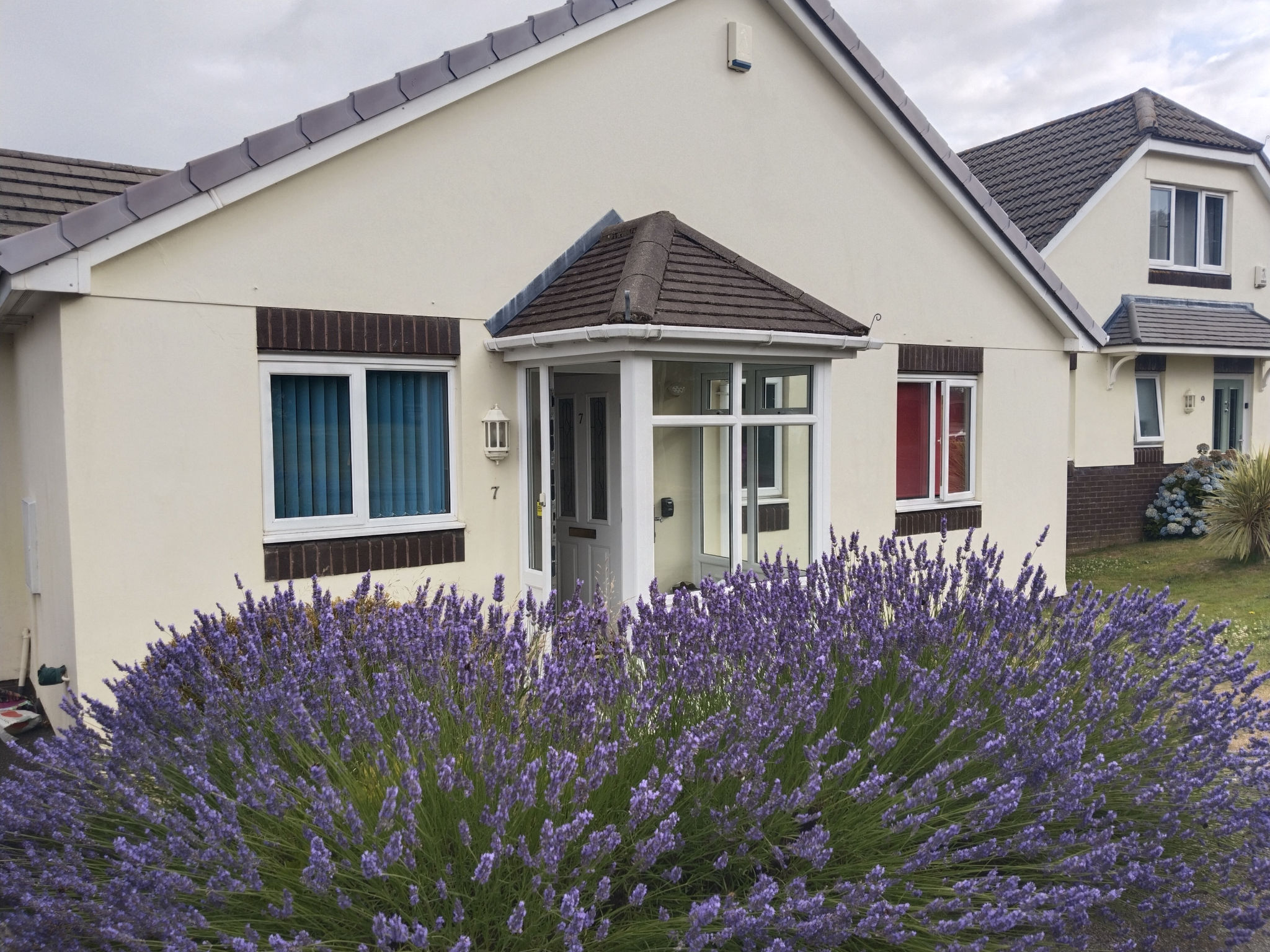 Lavender Waye - Buiten