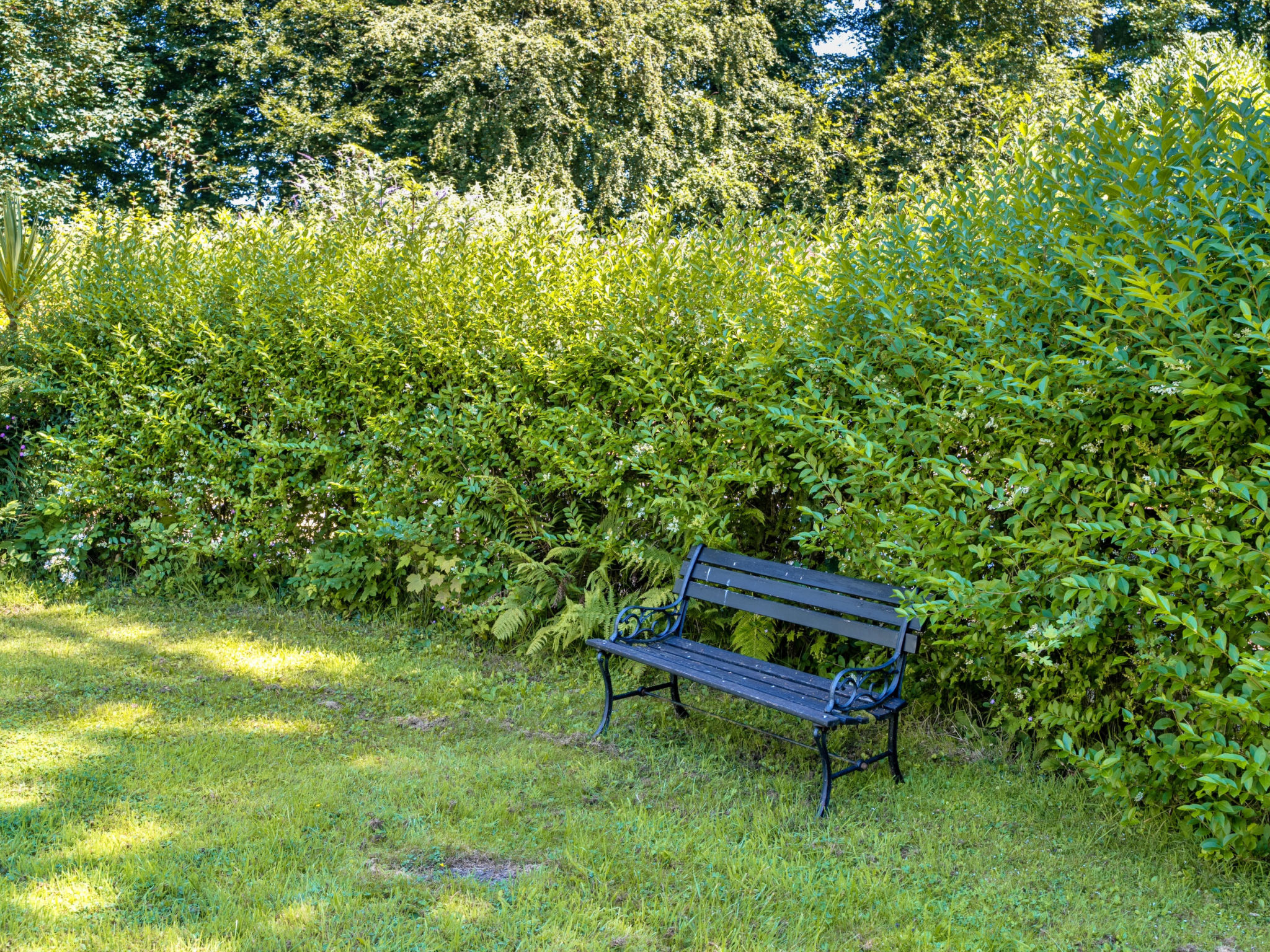 Brockwood - Buiten