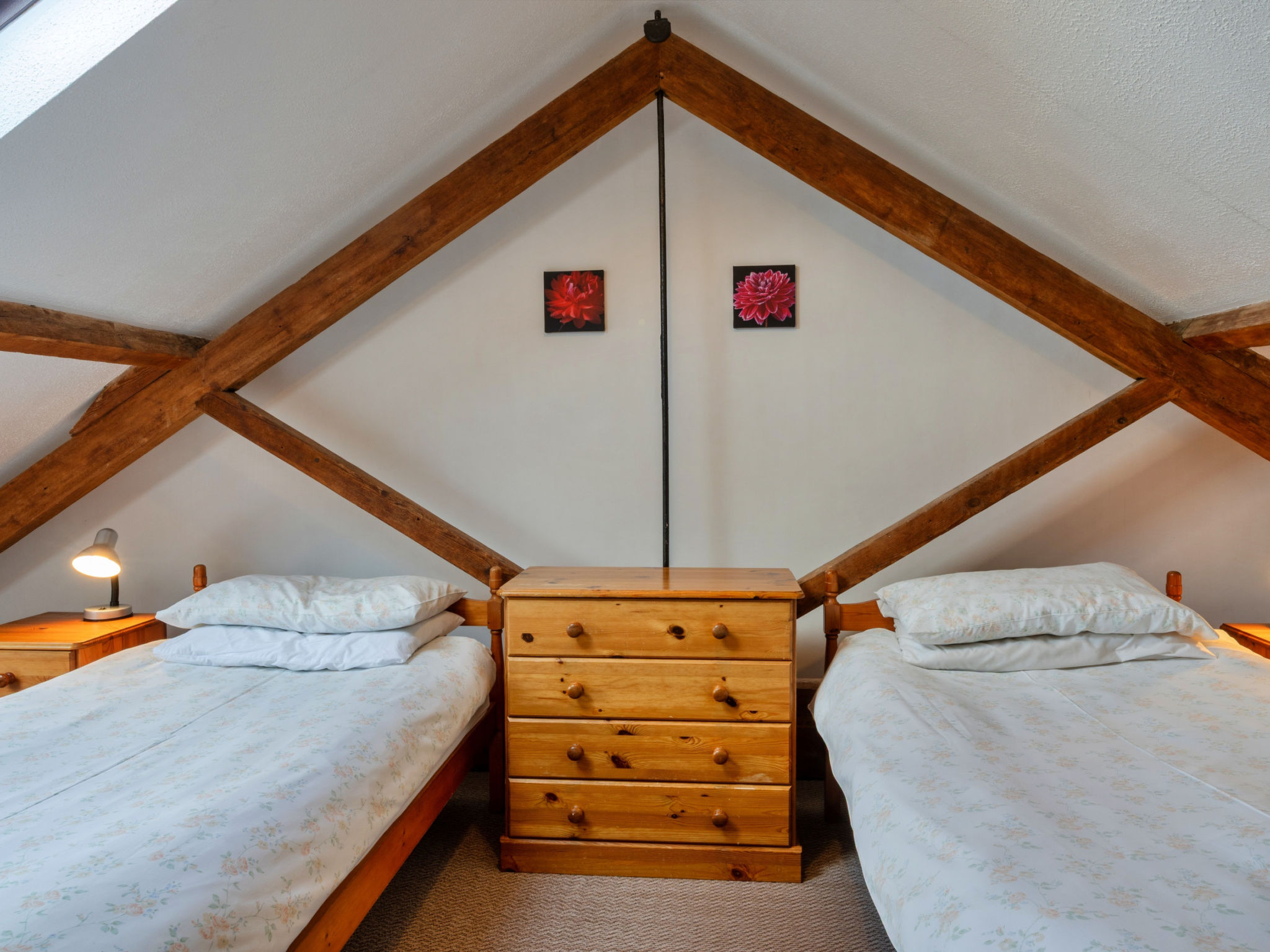 Old Nog Cottage, Stowford - Binnen