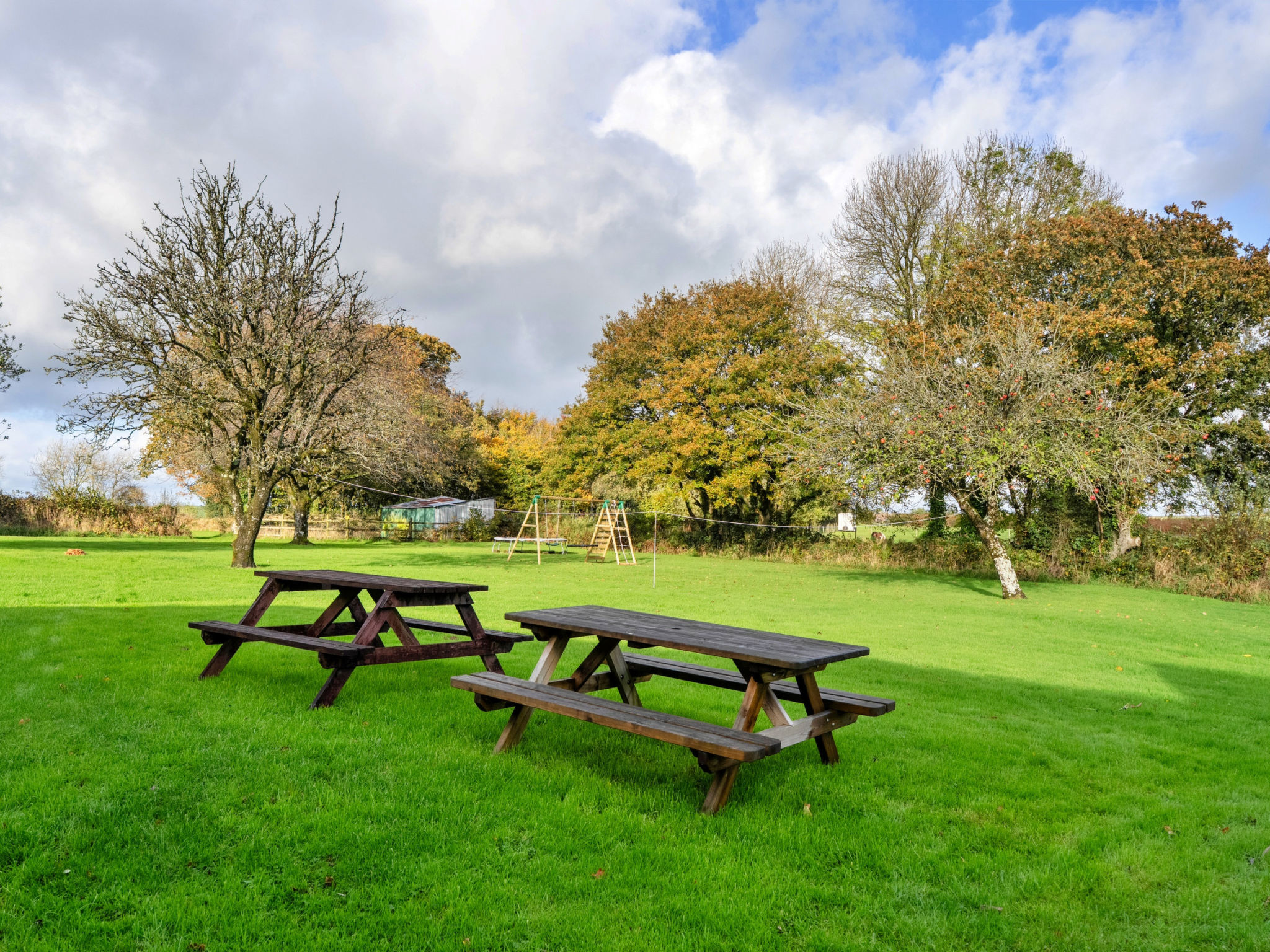 Halcyon Cottage, Stowford - Buiten