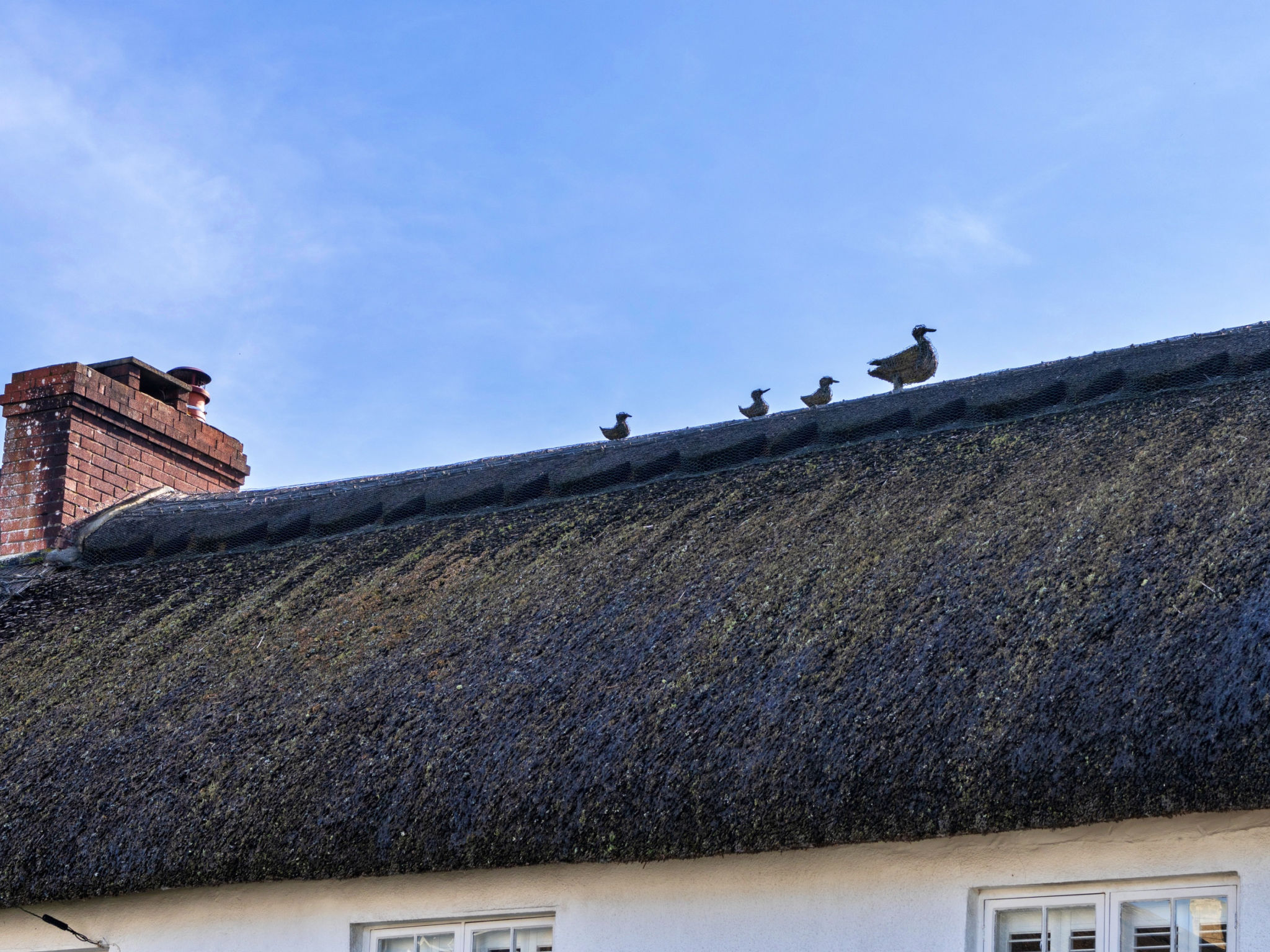 The Cottage at High Bickington - Buiten