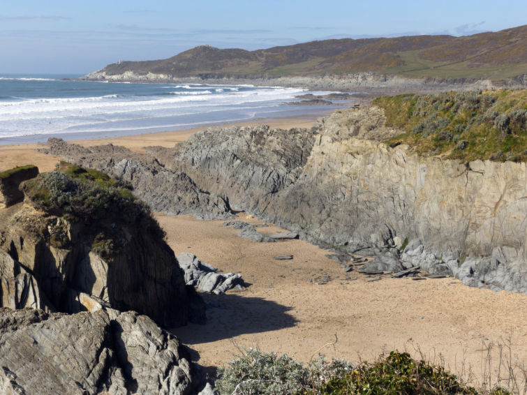 Photo of Beachcomber