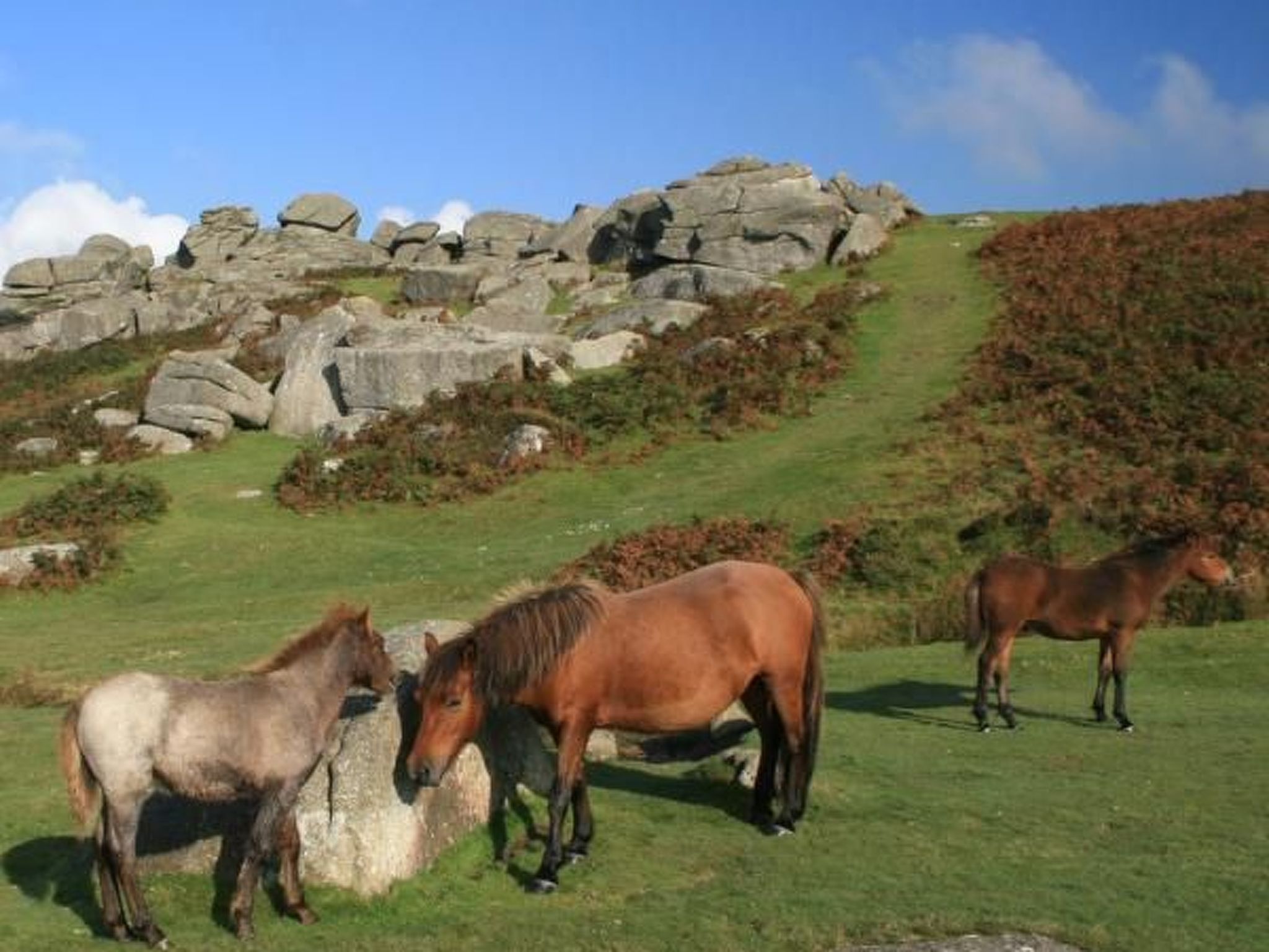 Wohnung in Plymouth - Buiten
