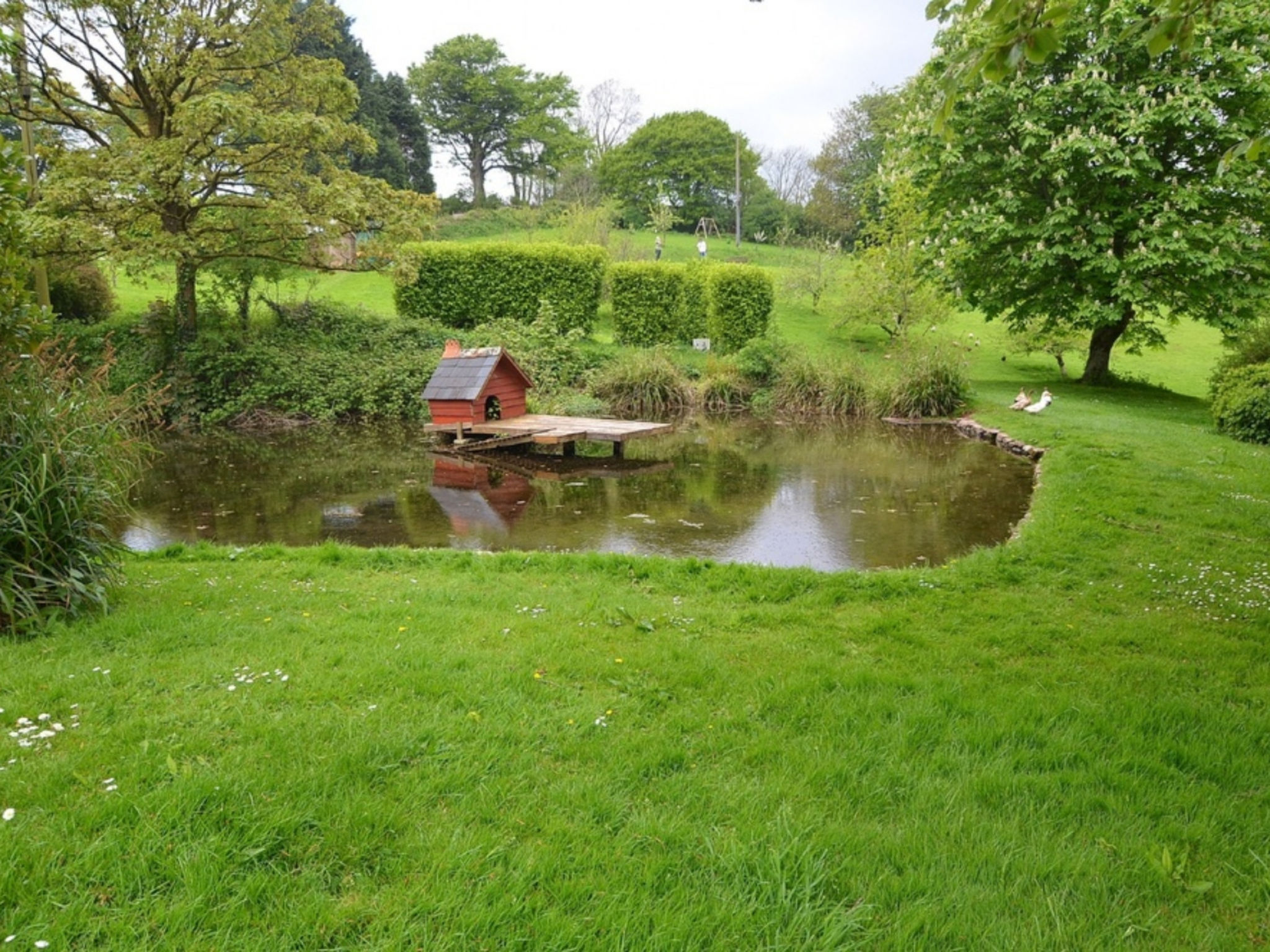 Cherry at Buckland Court-Buiten