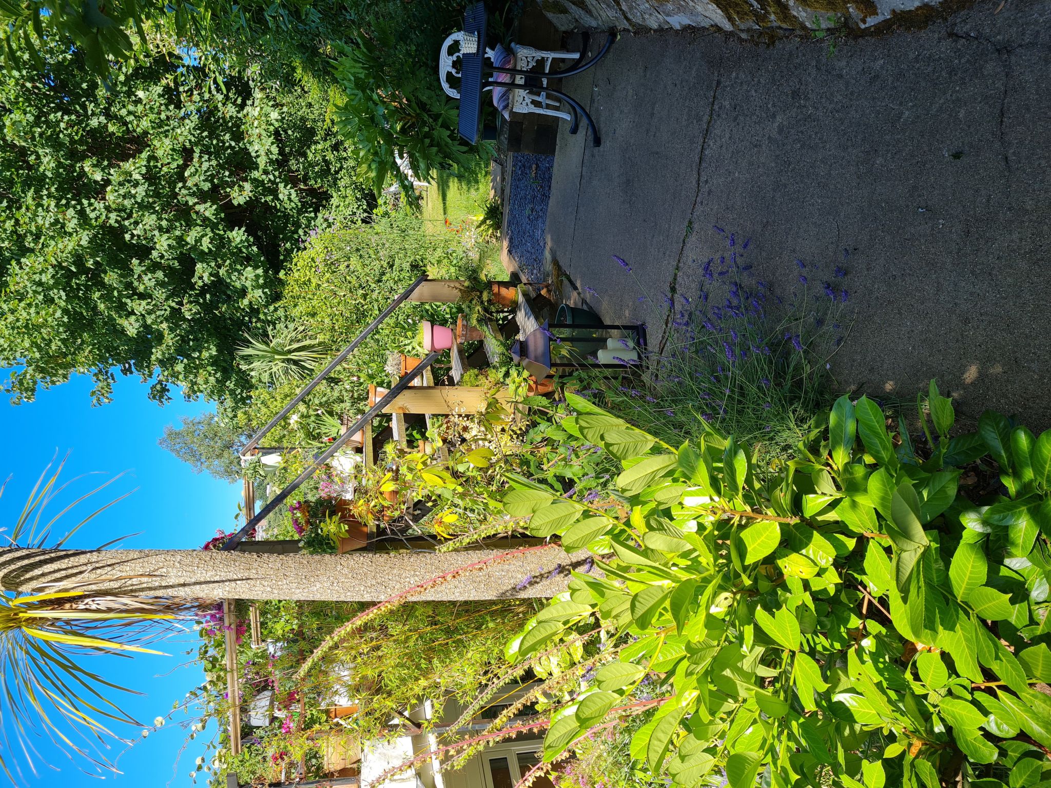 Meadfoot View - Draußen