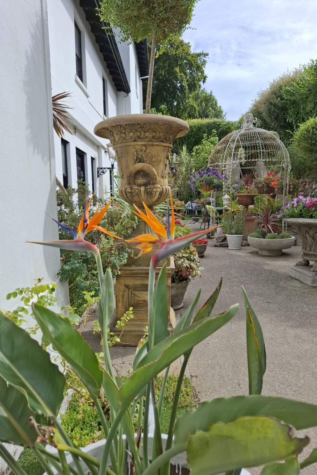 Meadfoot View - Draußen