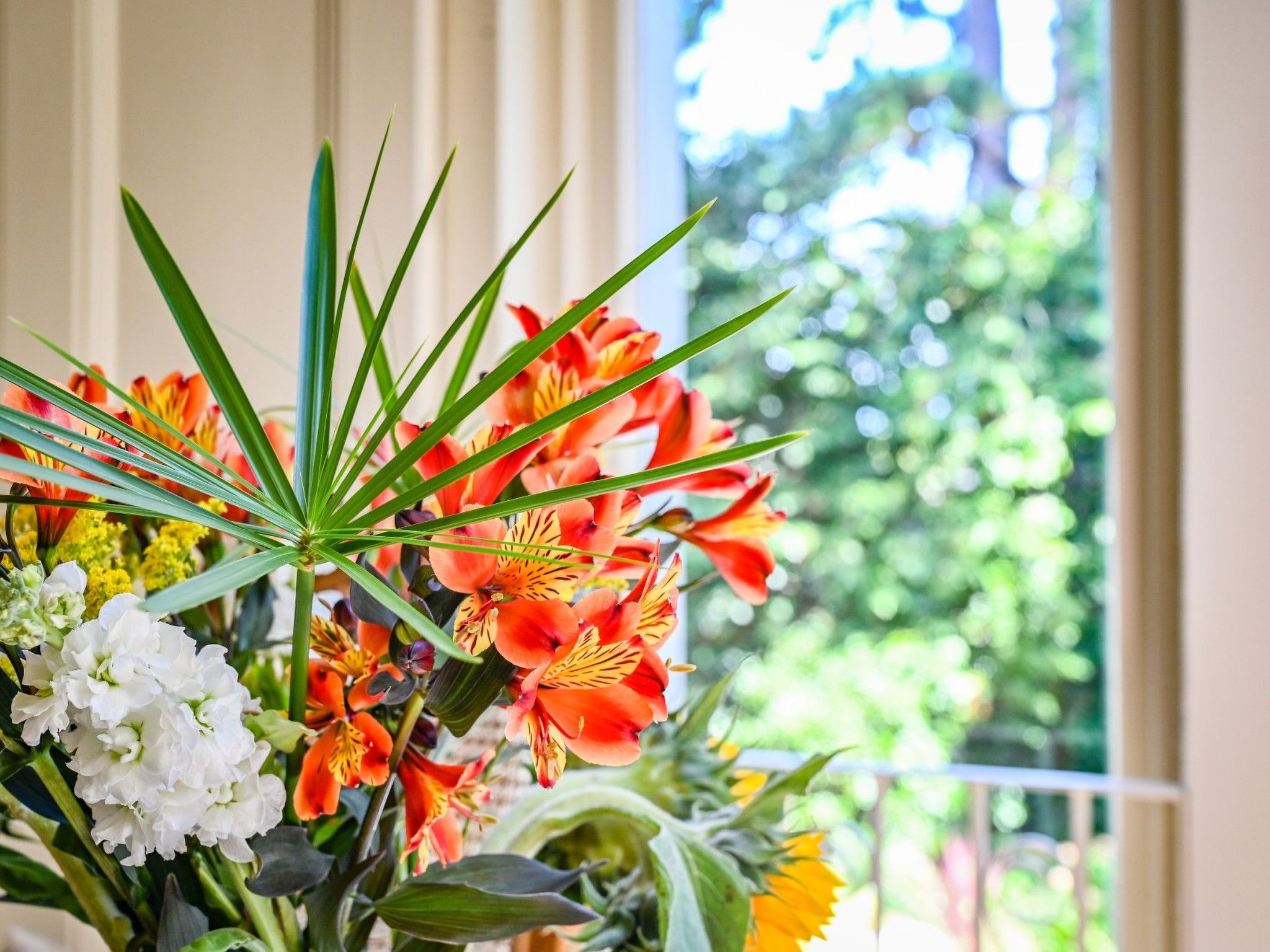 Photo of Luxuriöse Erdgeschosswohnung