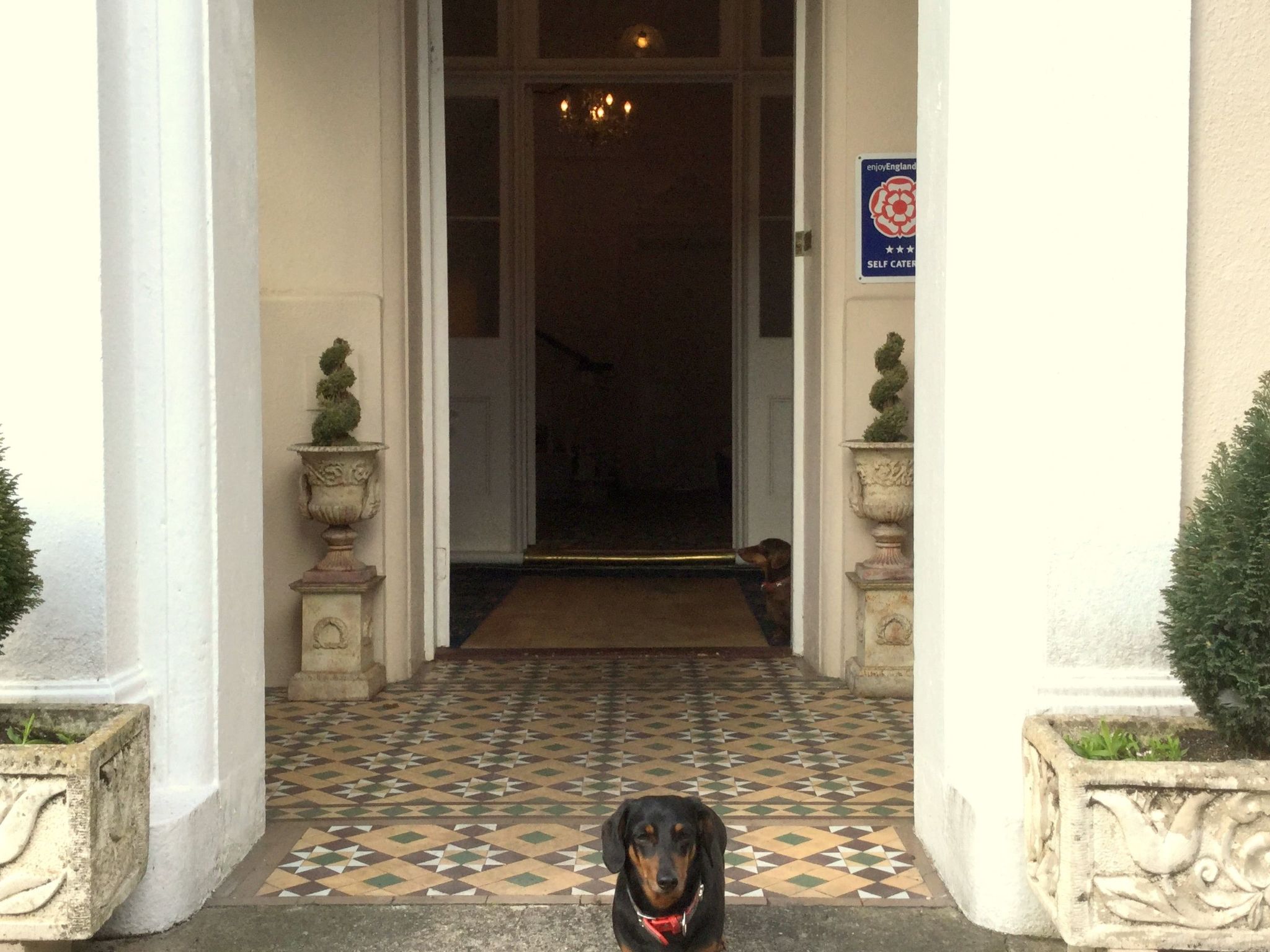 Photo of Helle Wohnung in Torquay mit Garten