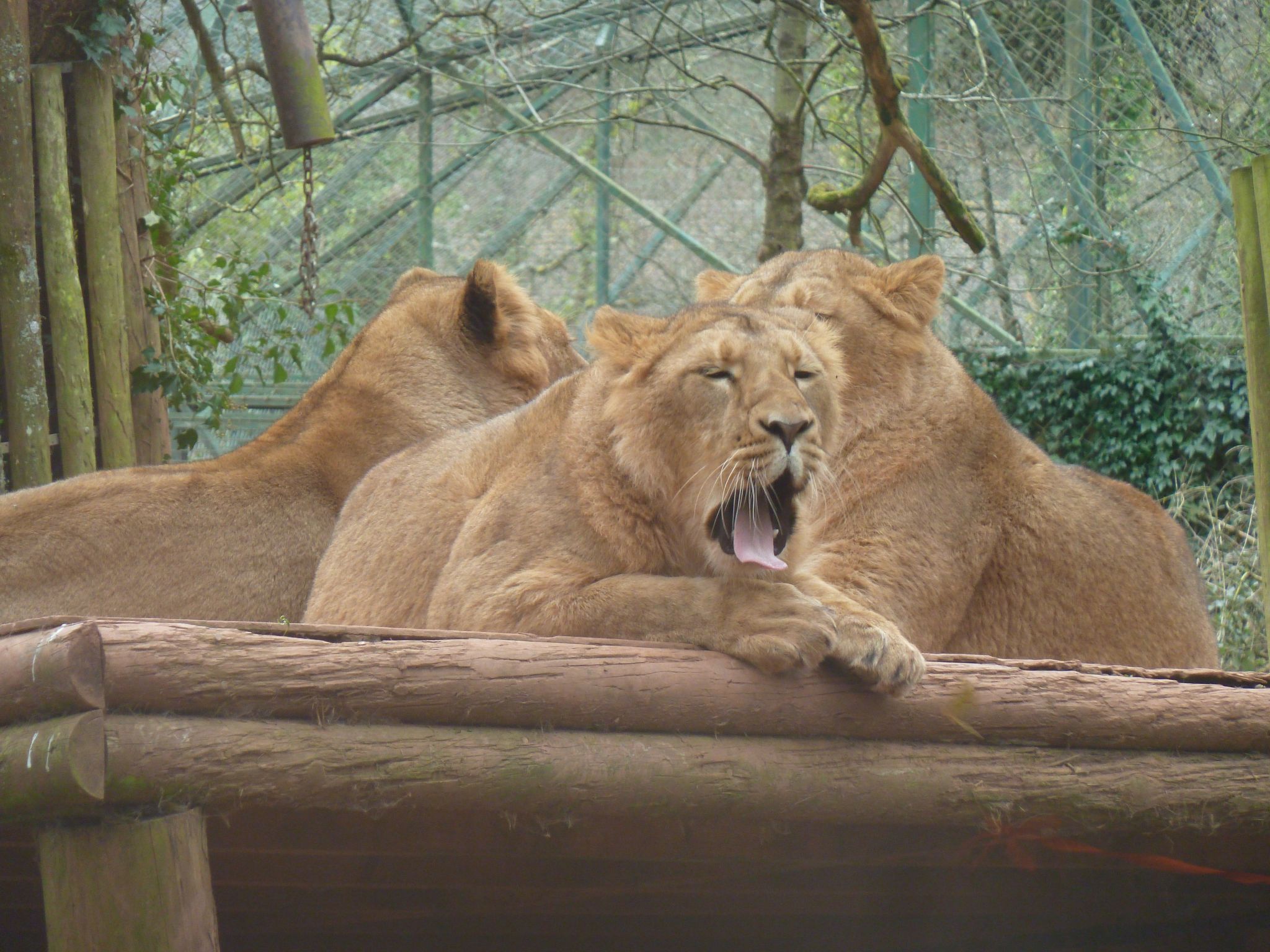 Photo of Helle Wohnung in Torquay mit Garten