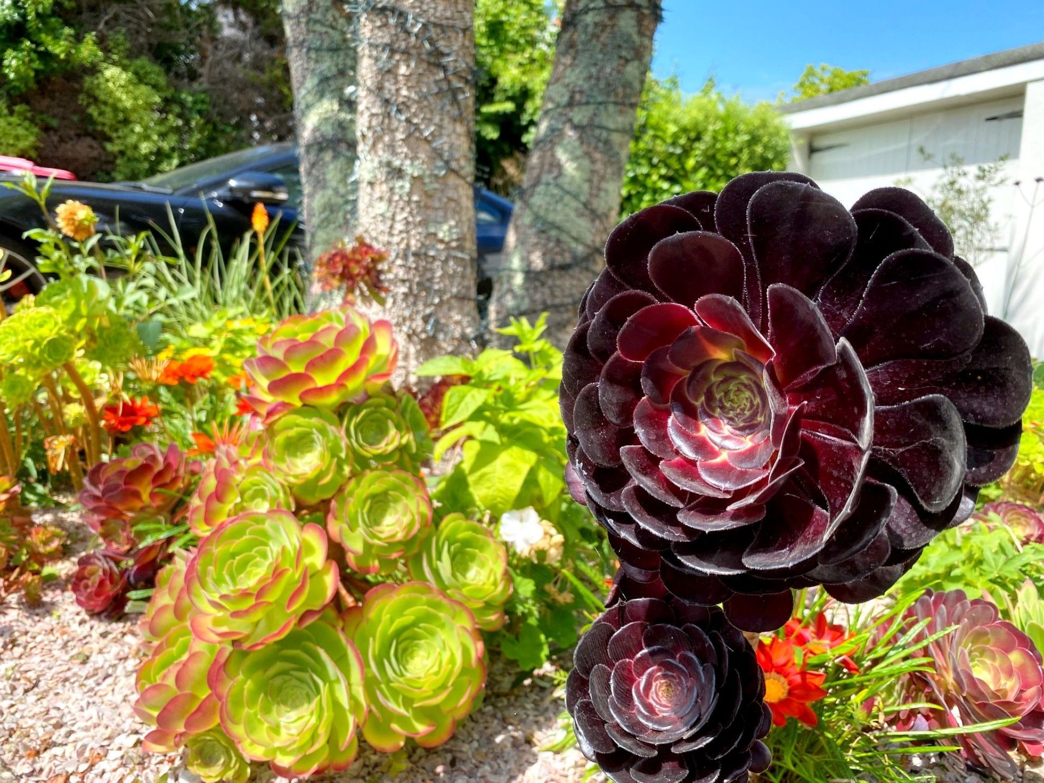 Photo of Luxuriöse viktorianische Villa in ruhiger Lage