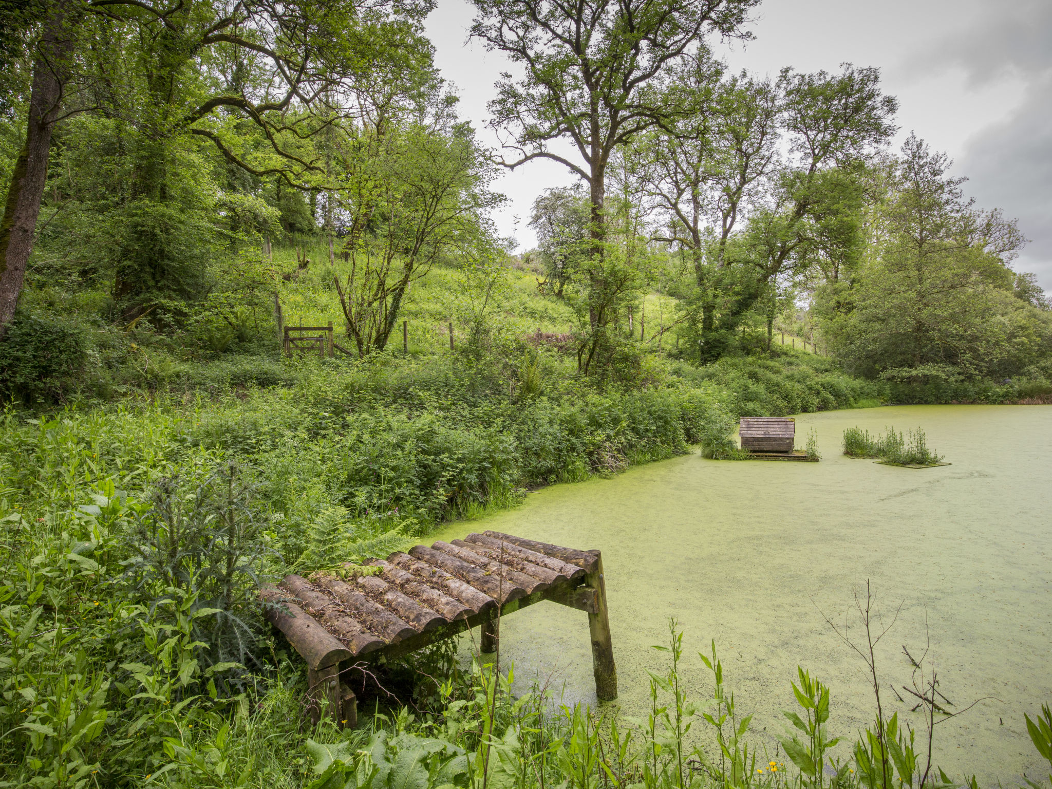Stables Cottage - Buiten