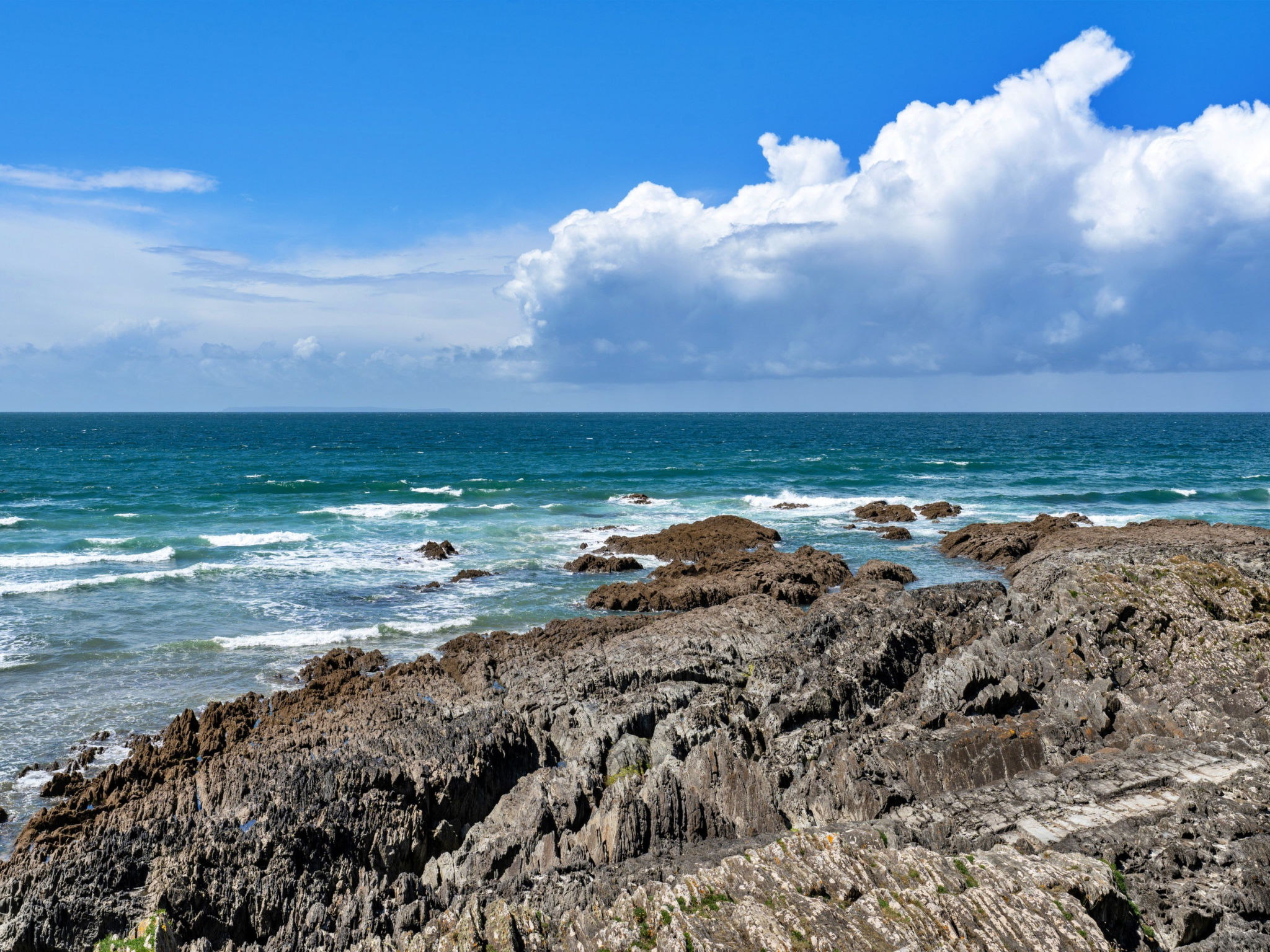 Ocean Lookout