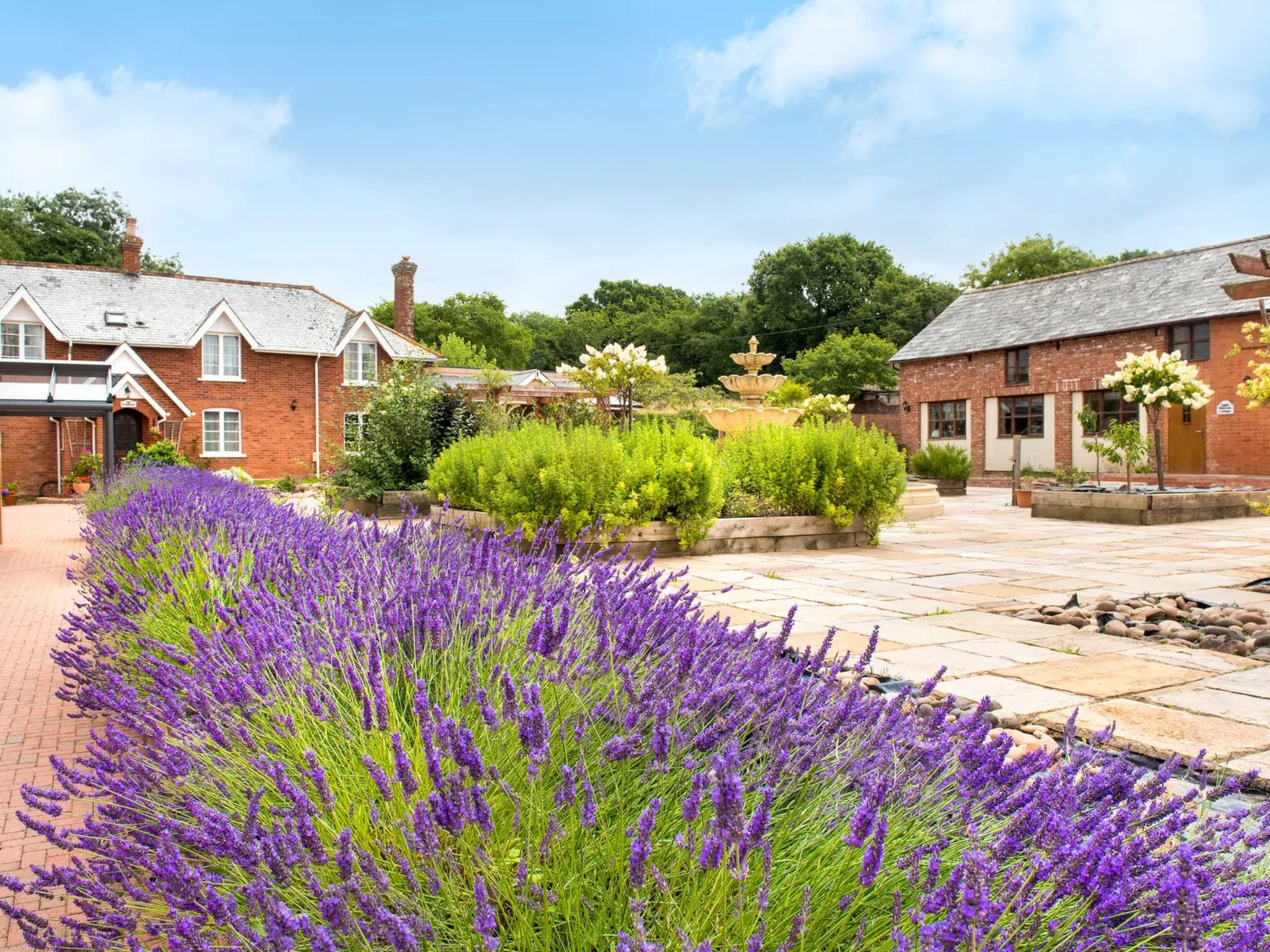 Ivy Cottage, Great Houndbeare Farm - Outside