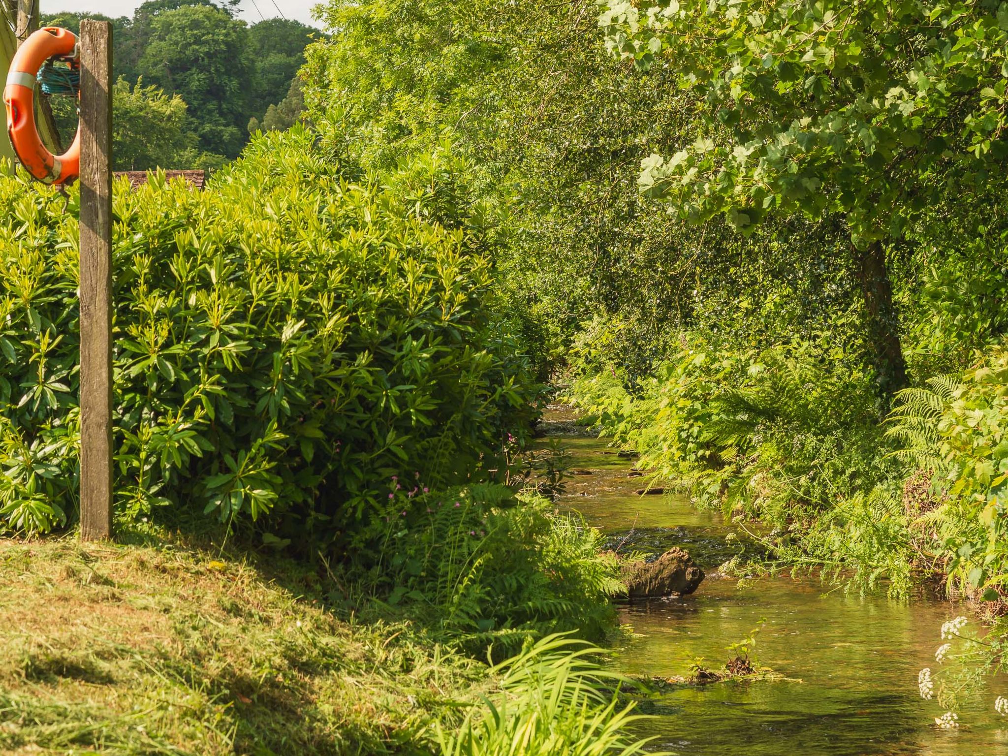 Kingfishers Haven-Buiten