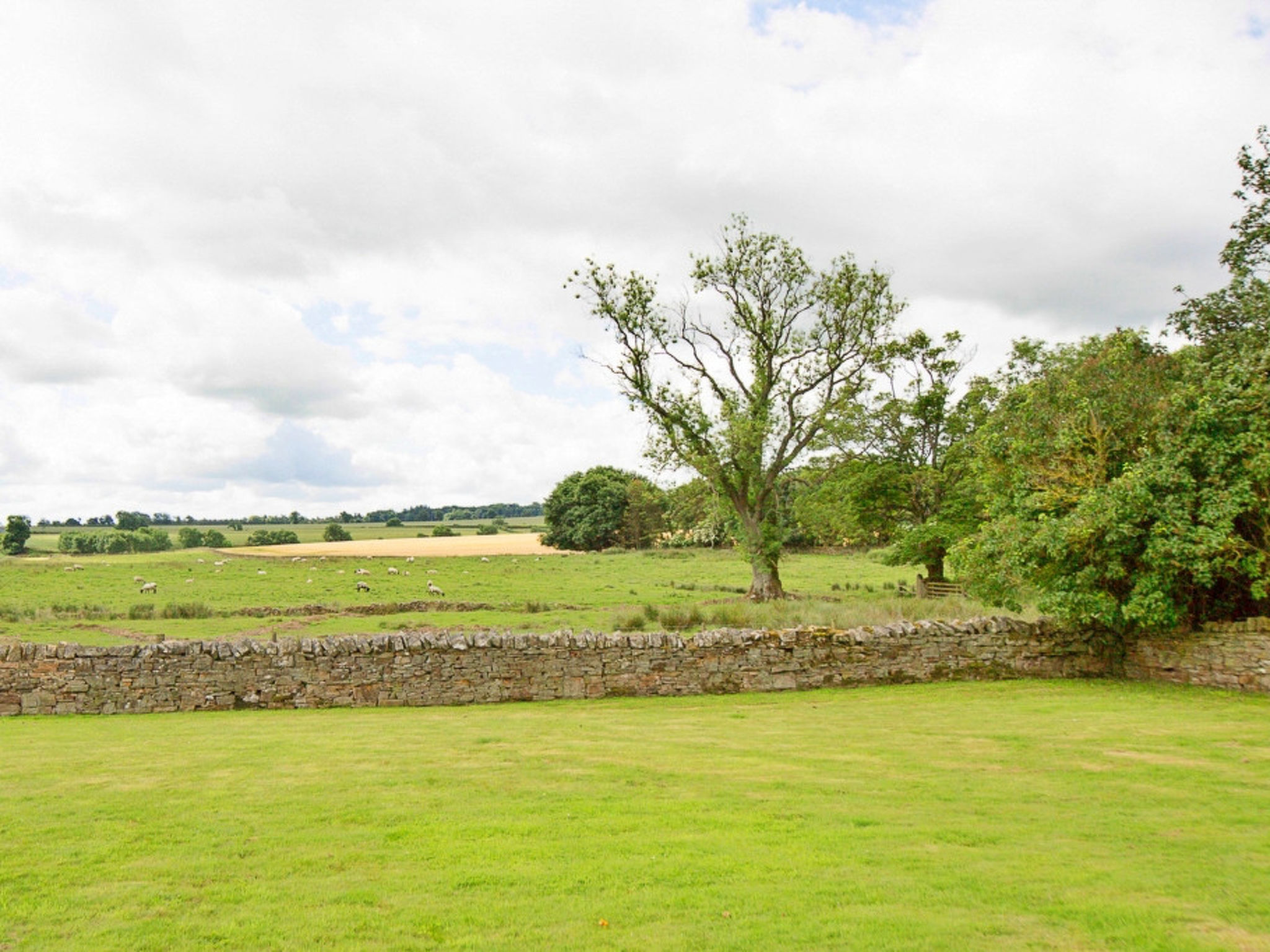 The Cottage, Shortflatt Farm-Draußen