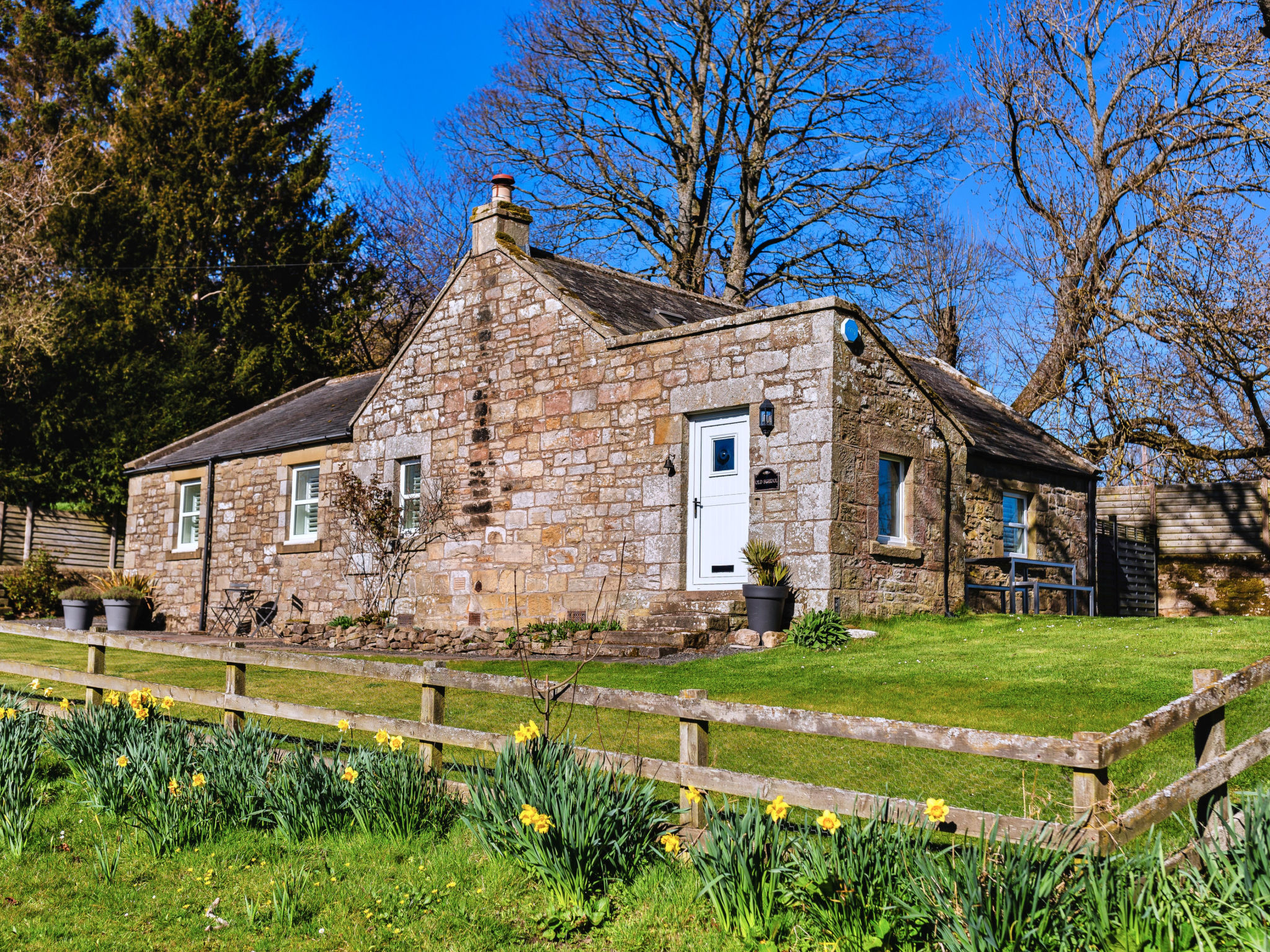 The Old School