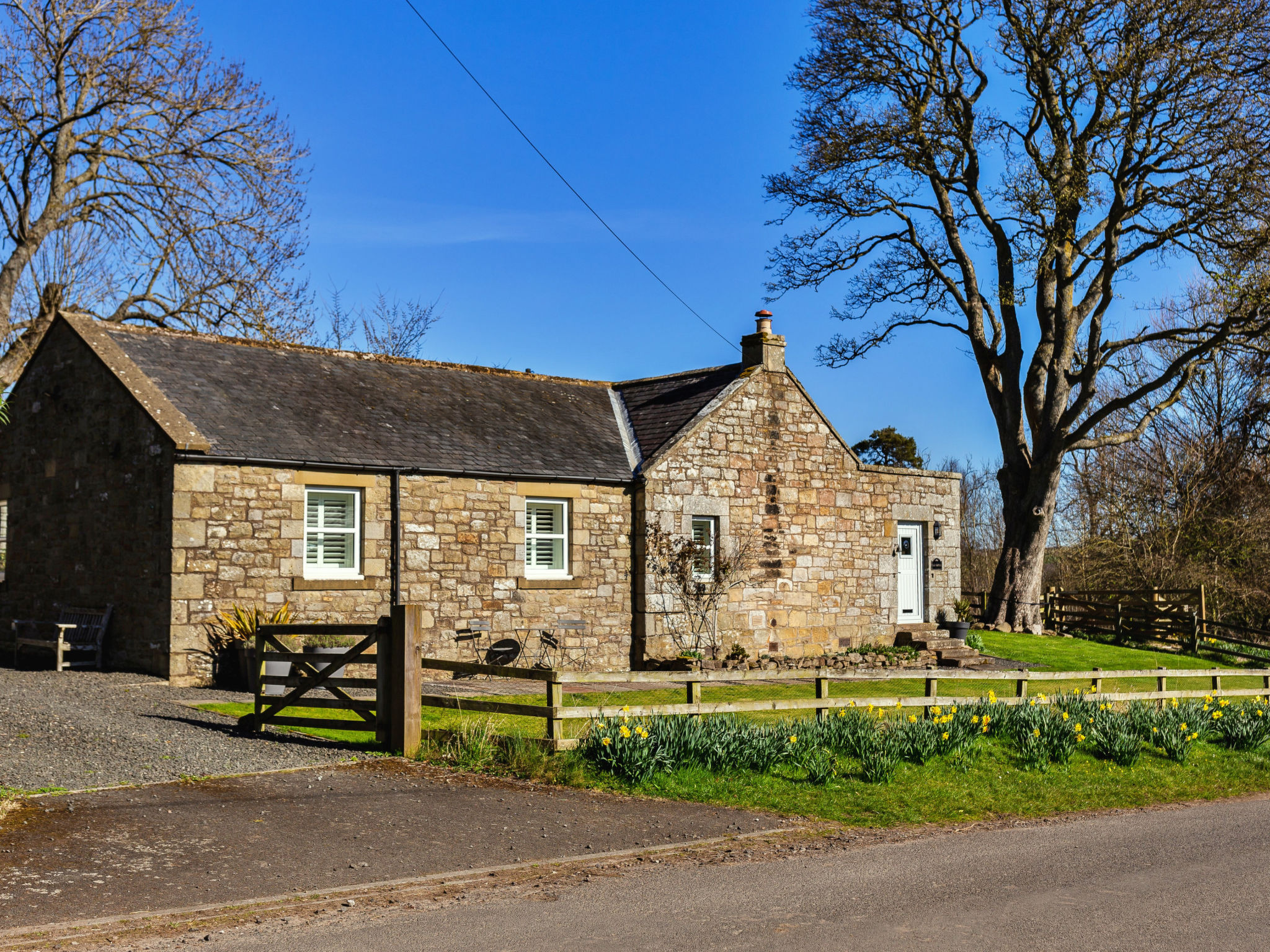 The Old School