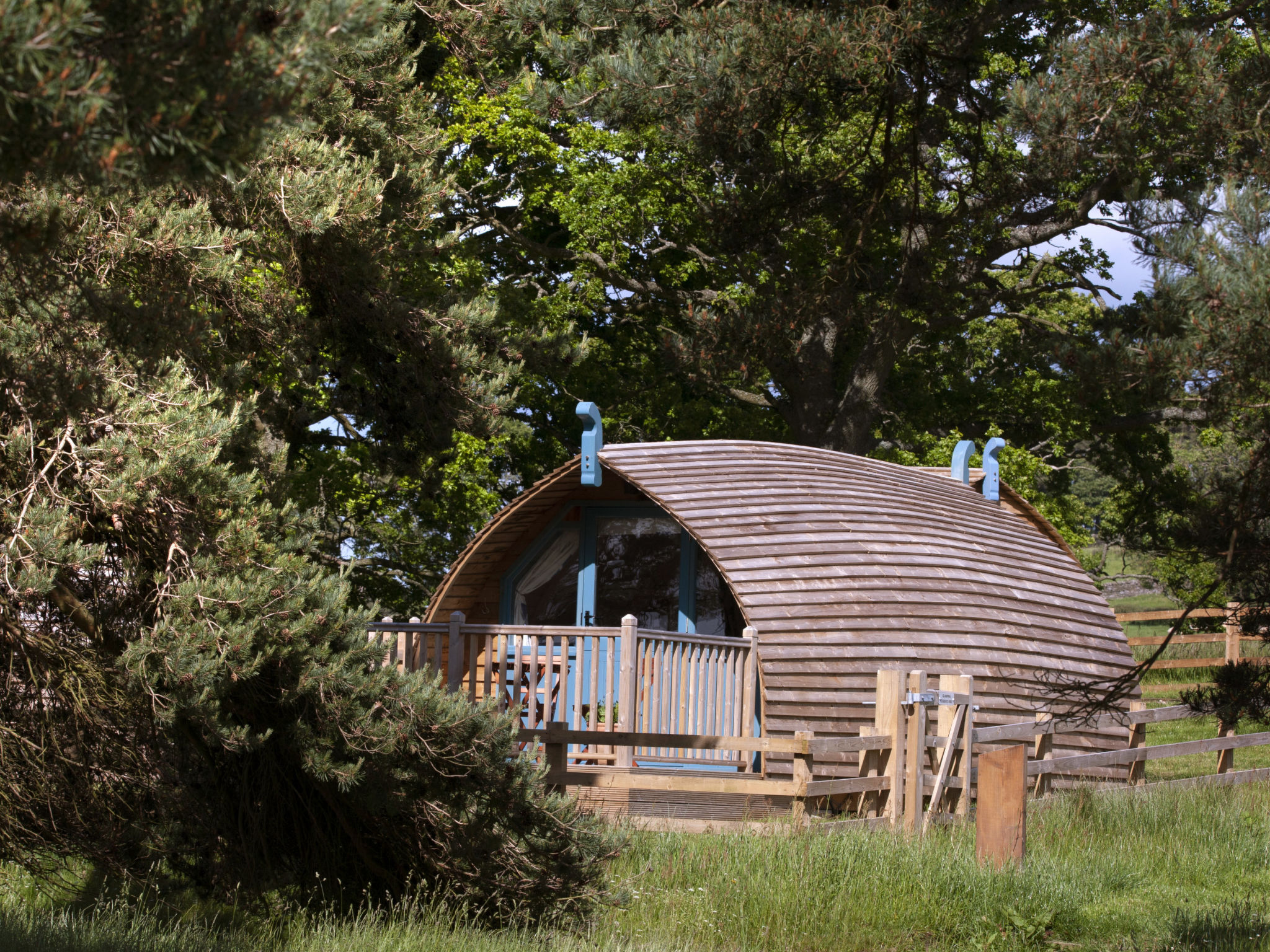 The Wonney's Glamping-Drinnen