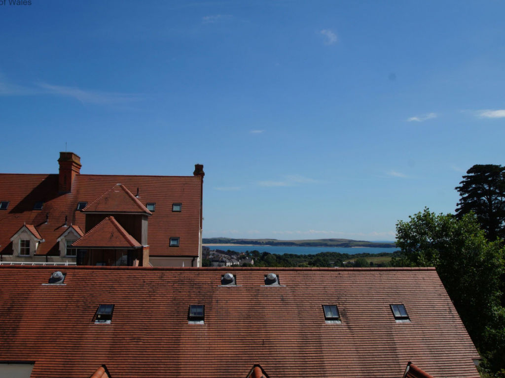 Bild 12