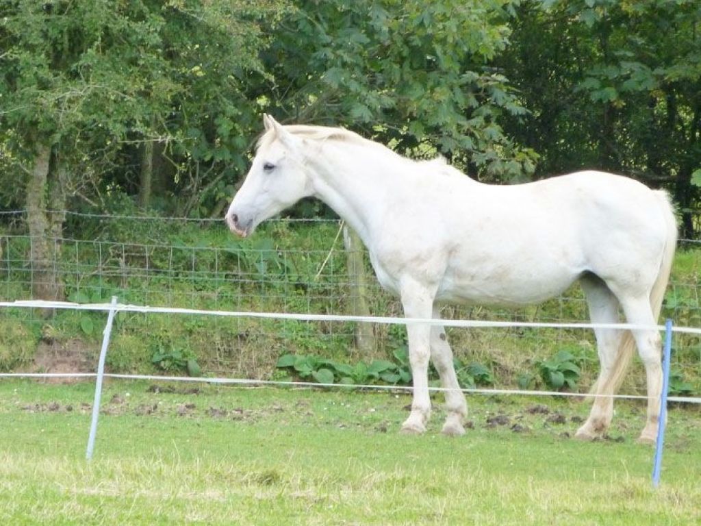 Bild 13