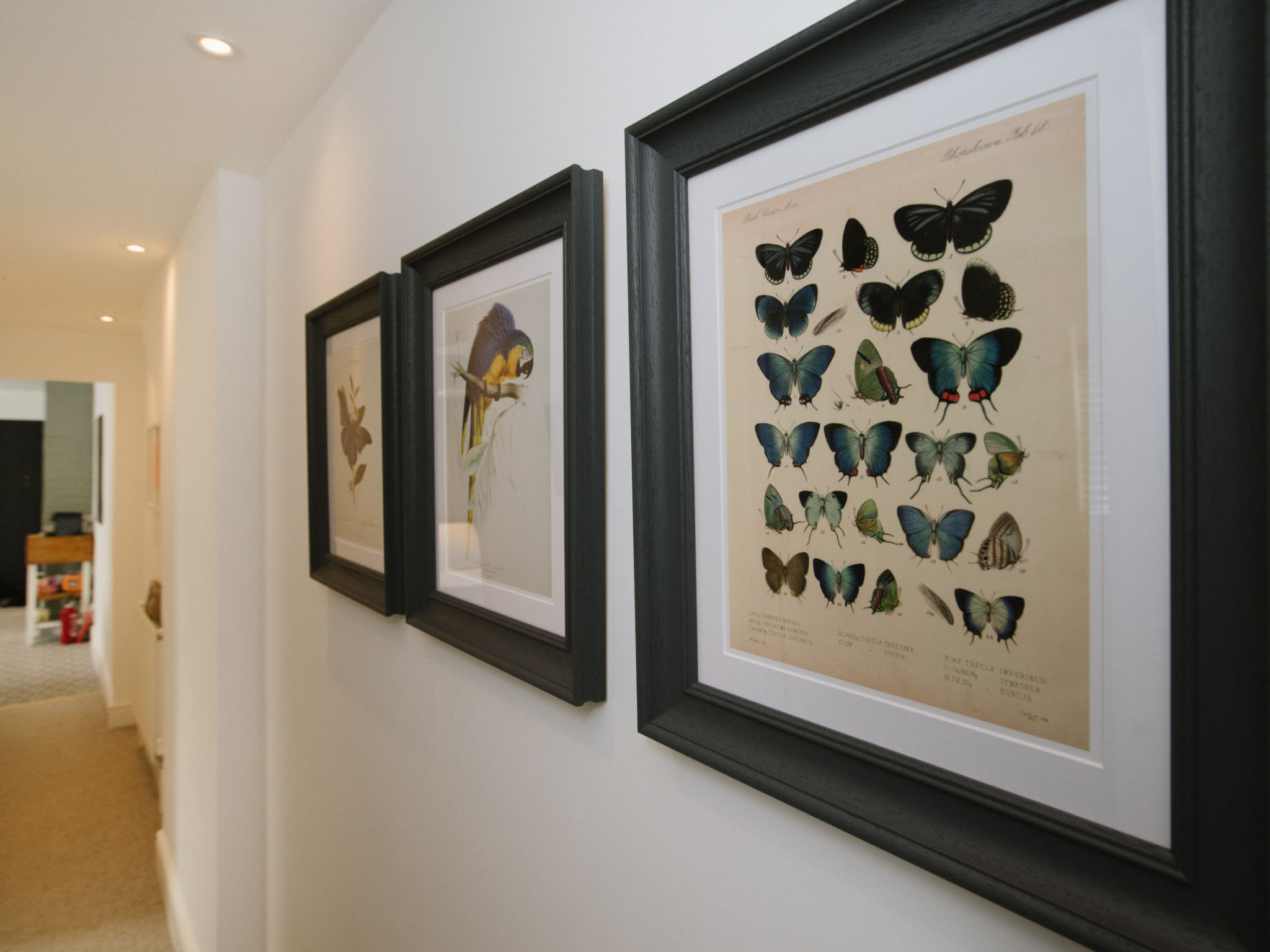 Photo of Atlantic Hideaway