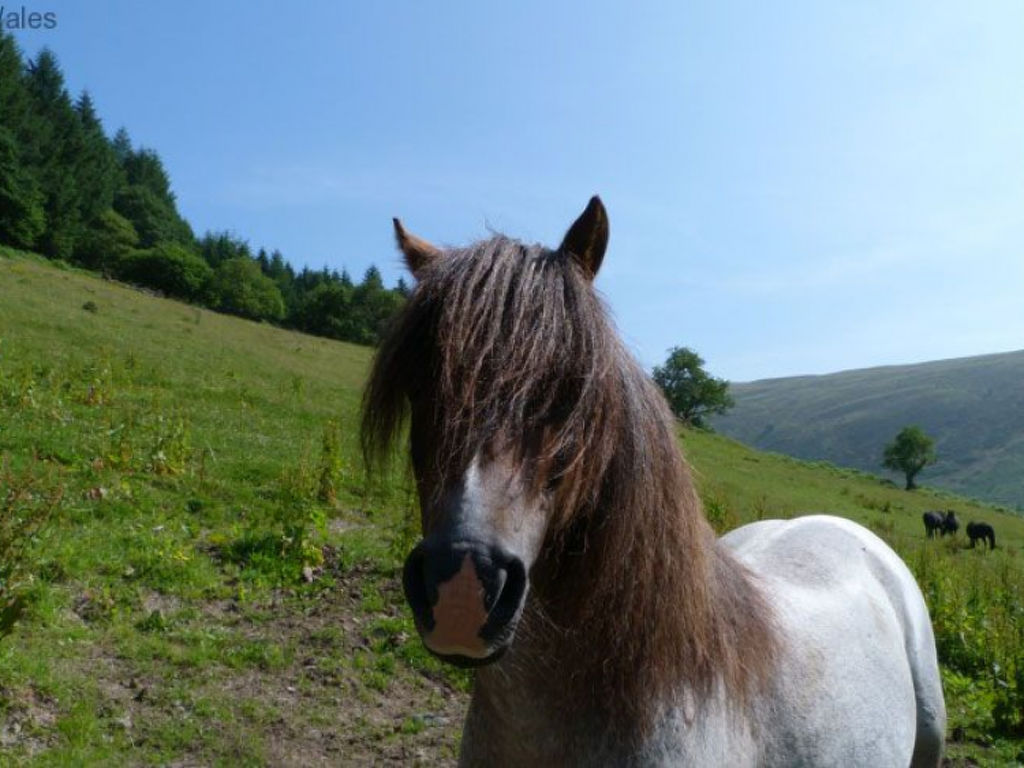 Bild 17