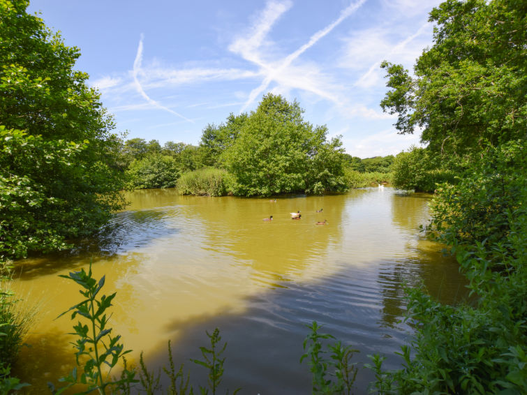 Photo of Llawr y Llyn