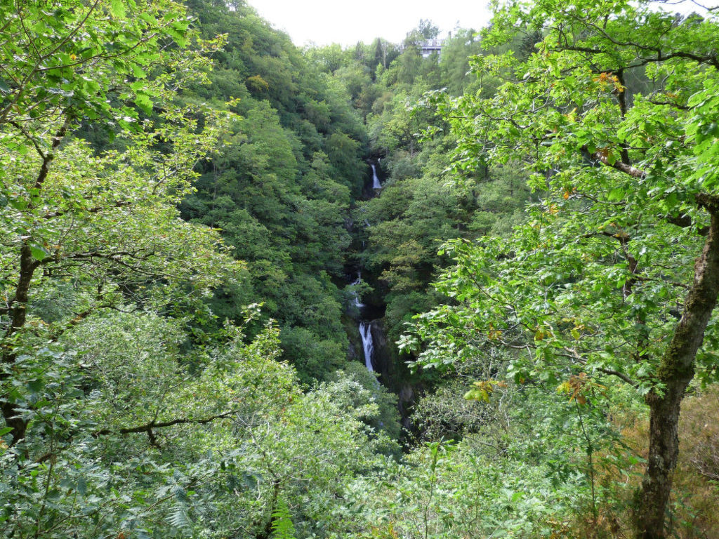Bild 14