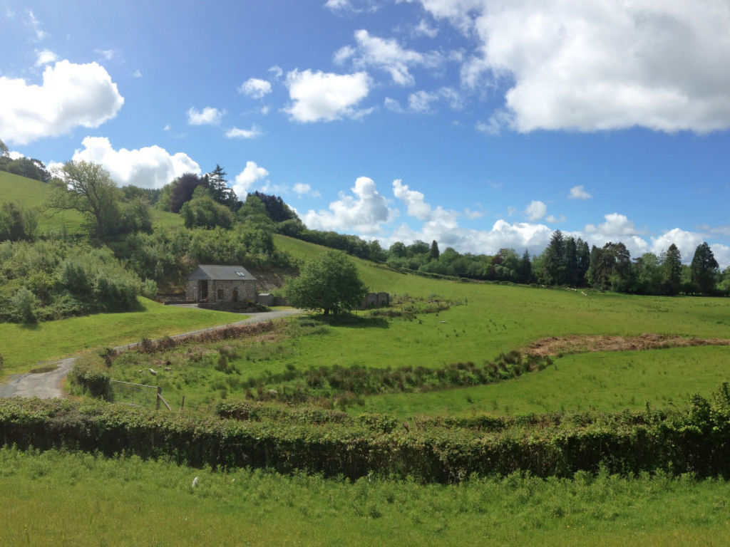 Bild 11