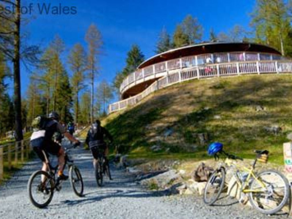 Bild 18