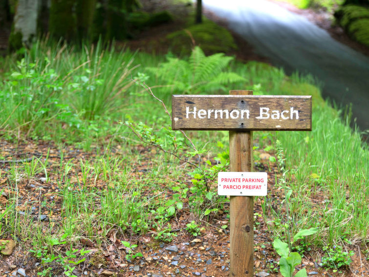 Photo of Hermon Bach